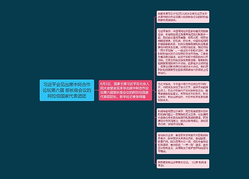 习近平会见出席中阿合作论坛第六届 部长级会议的阿拉伯国家代表团团