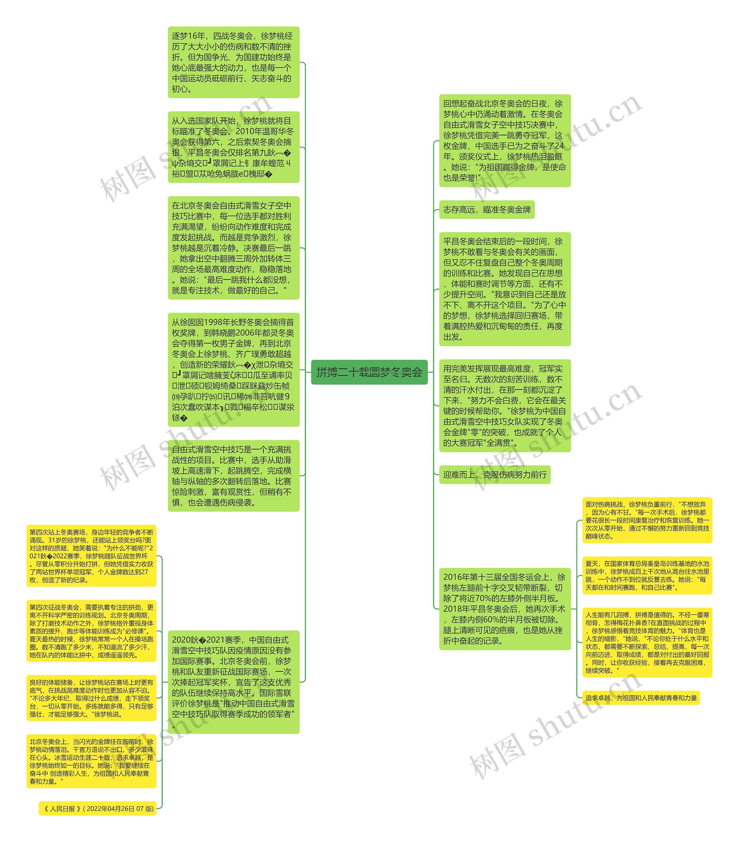 拼搏二十载圆梦冬奥会思维导图