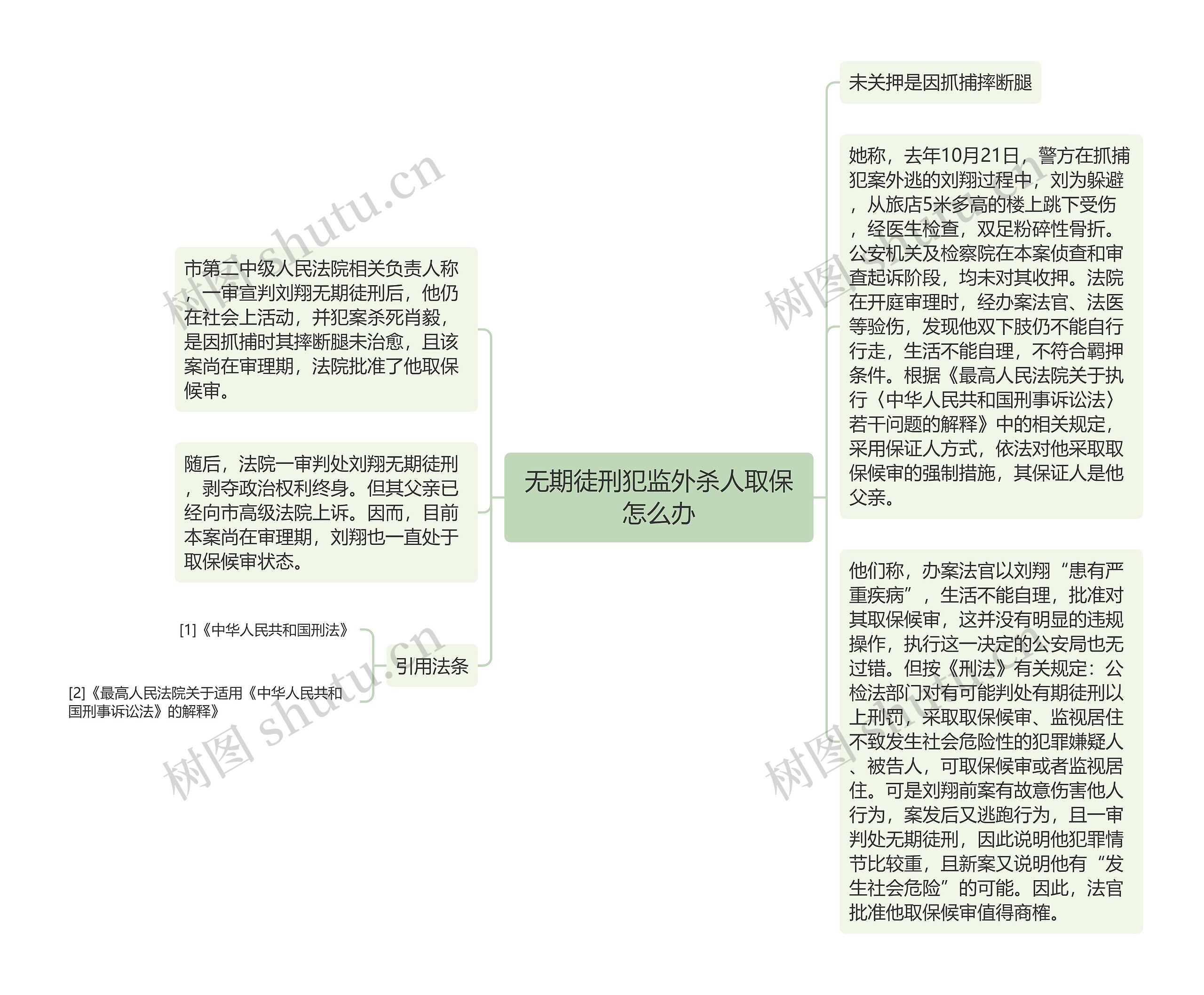 无期徒刑犯监外杀人取保怎么办思维导图