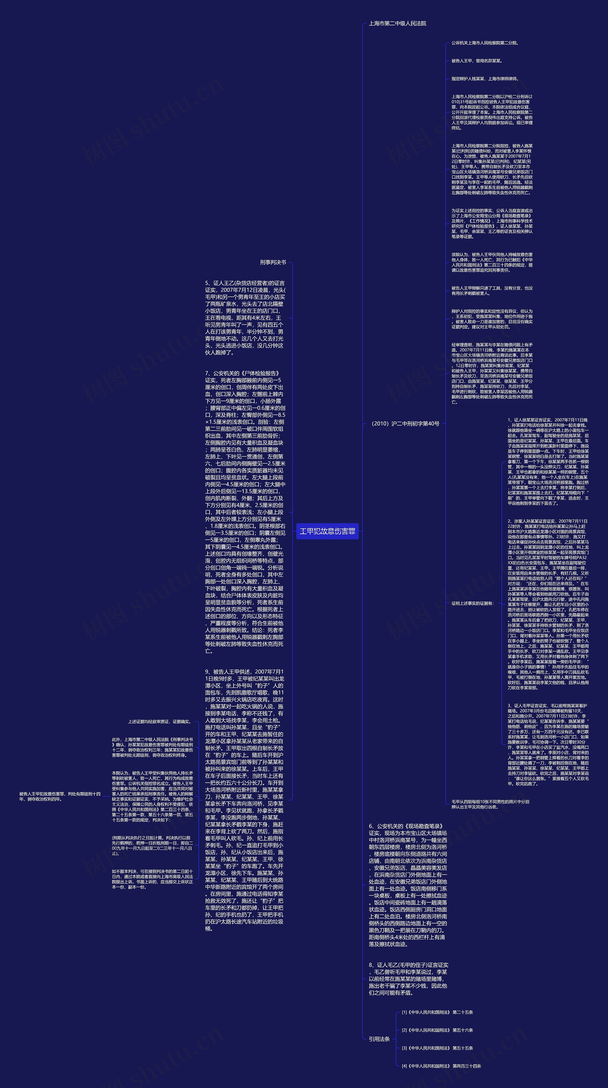 王甲犯故意伤害罪思维导图