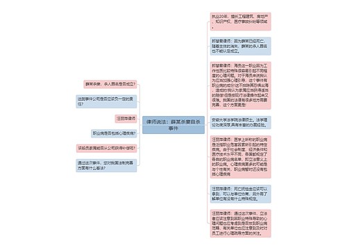 律师说法：薛某杀妻自杀事件