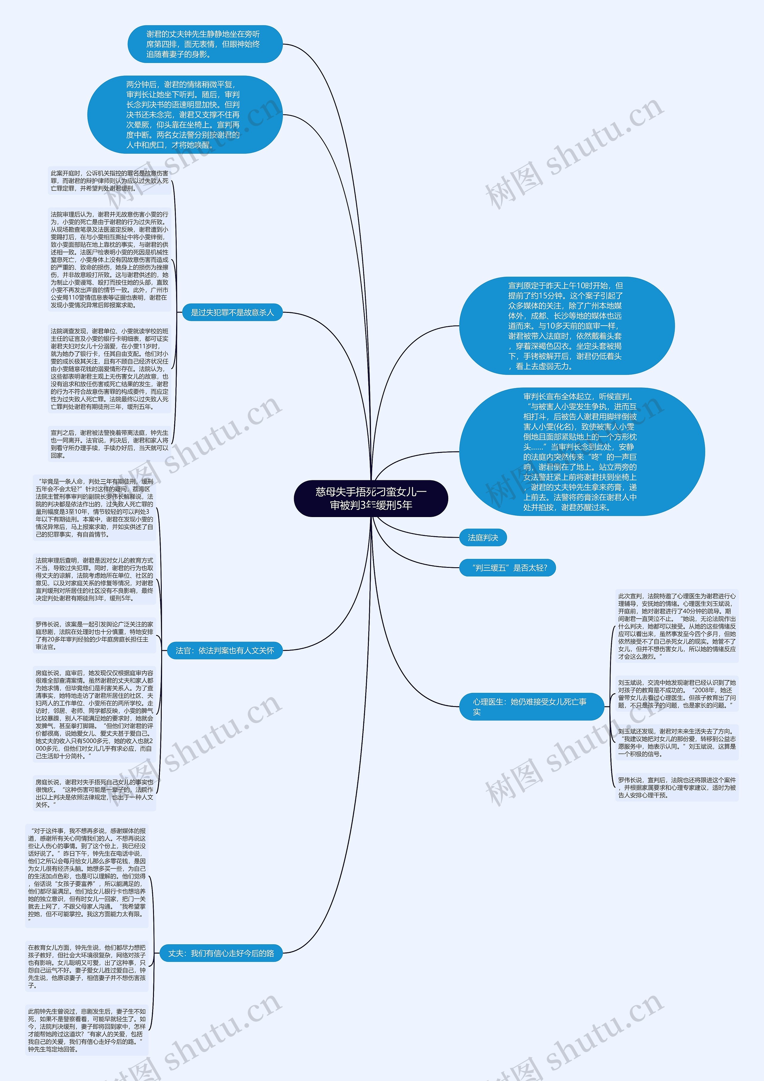 慈母失手捂死刁蛮女儿一审被判3年缓刑5年思维导图