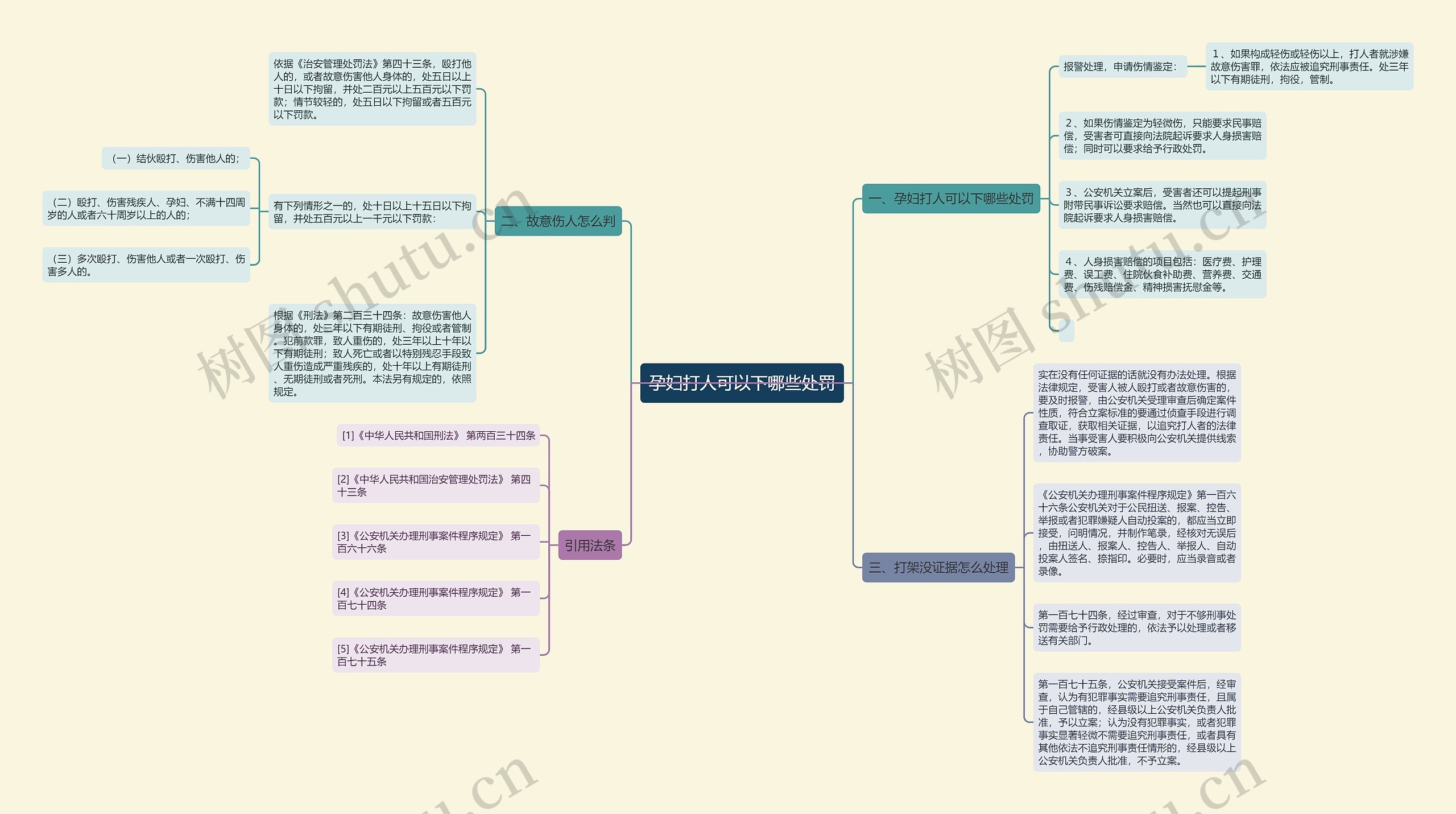 孕妇打人可以下哪些处罚思维导图