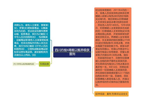 四川丹棱4毒贩以贩养吸获重刑