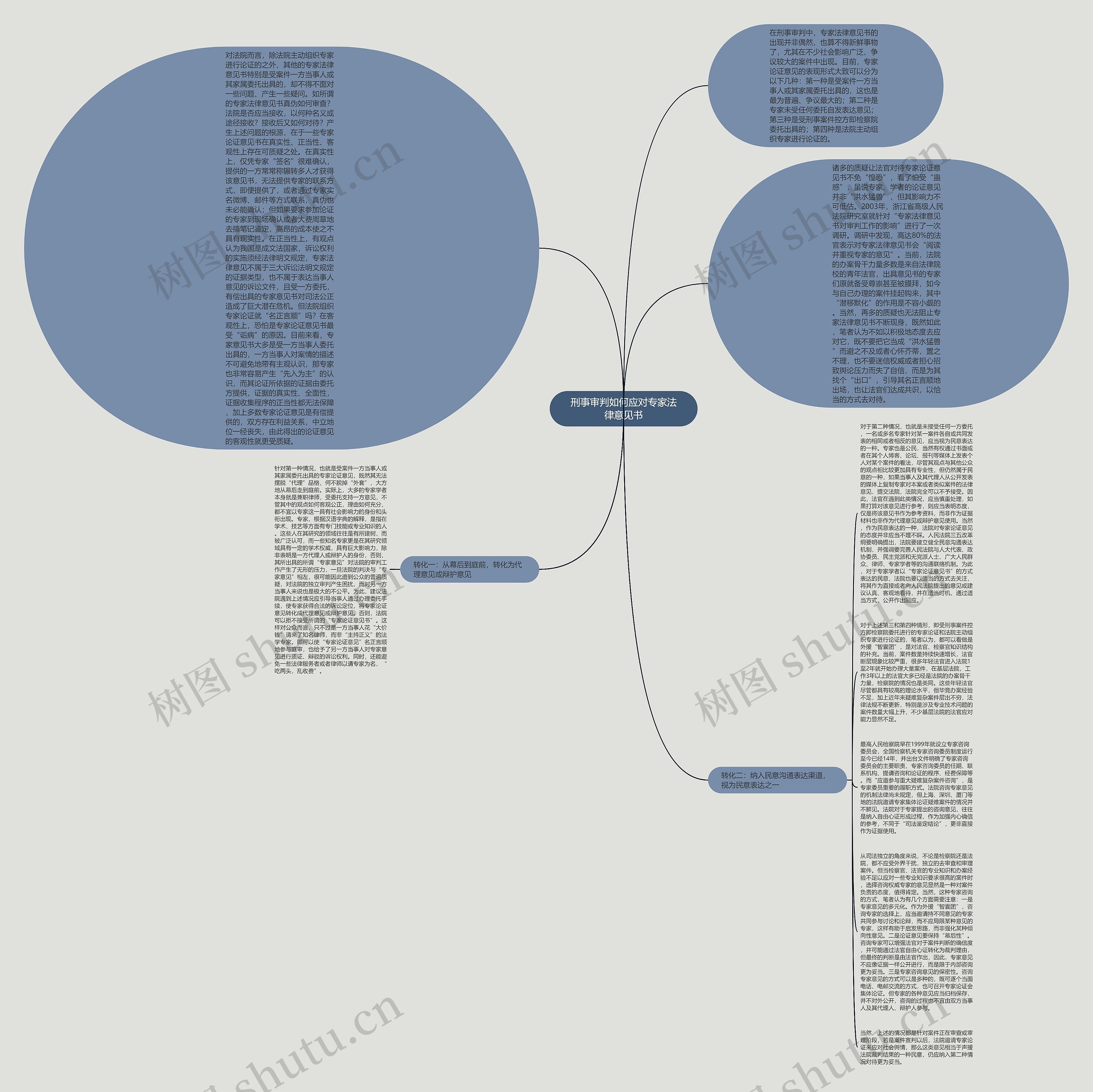 刑事审判如何应对专家法律意见书思维导图