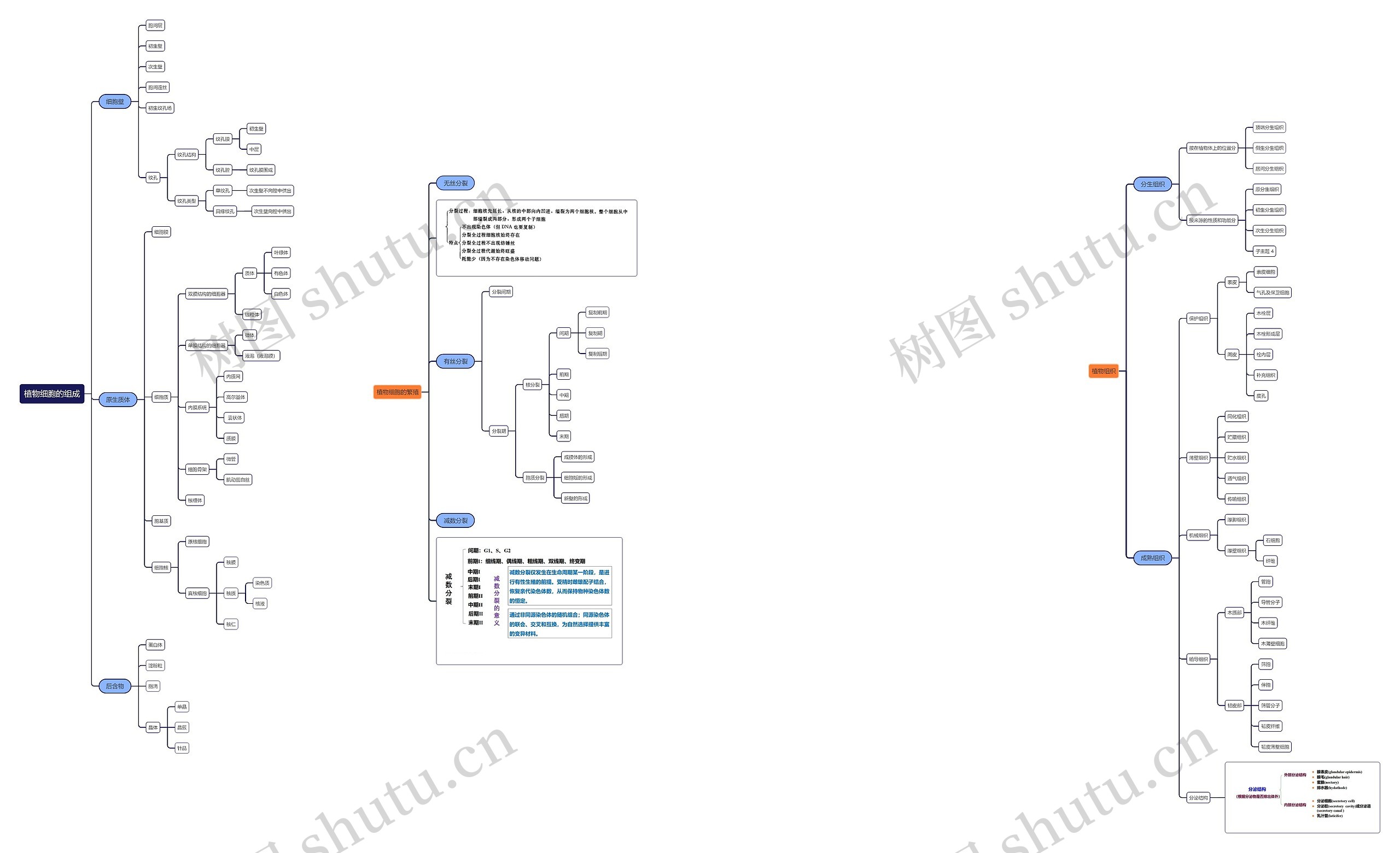 植物细胞的组成思维导图