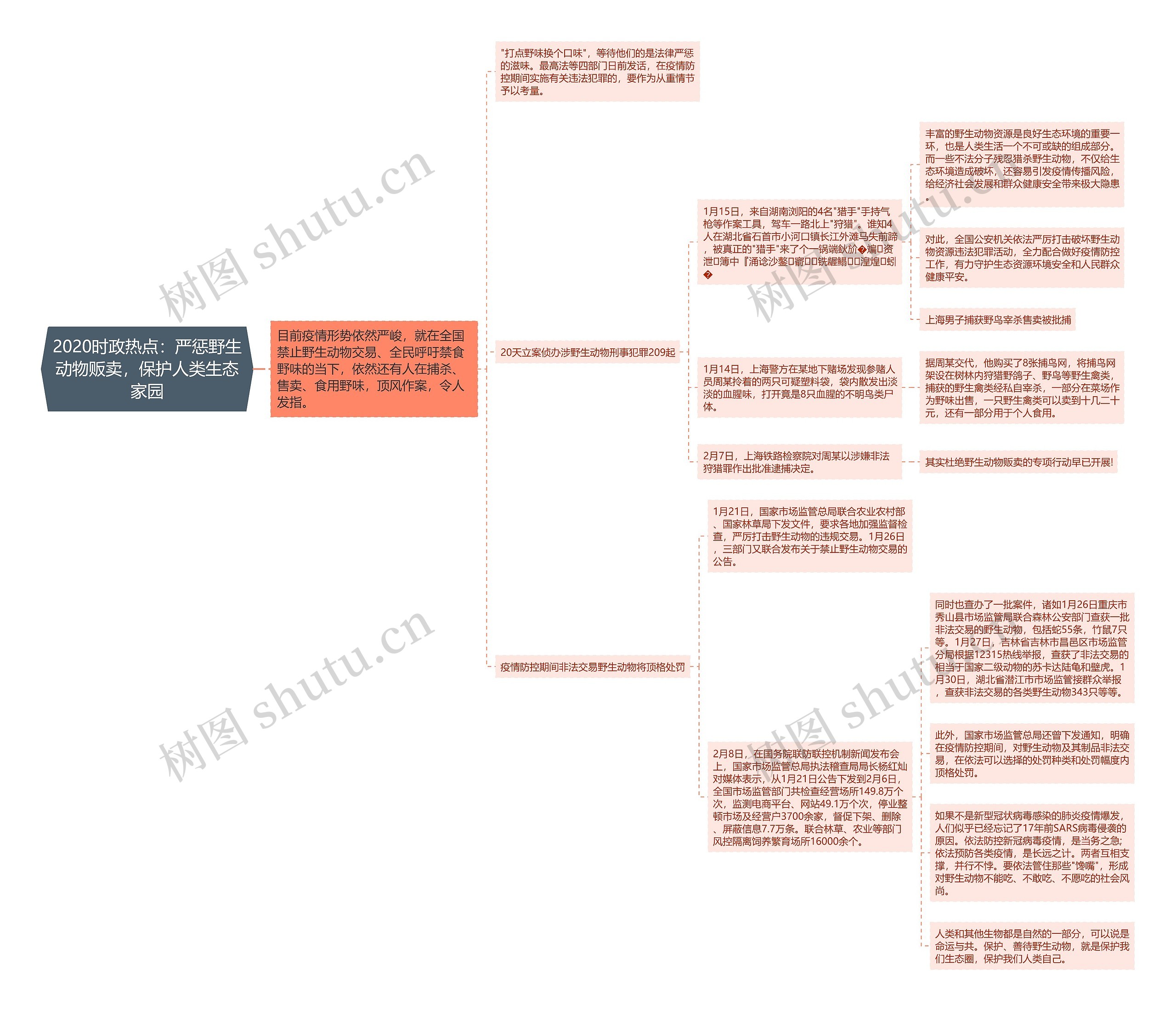 2020时政热点：严惩野生动物贩卖，保护人类生态家园思维导图