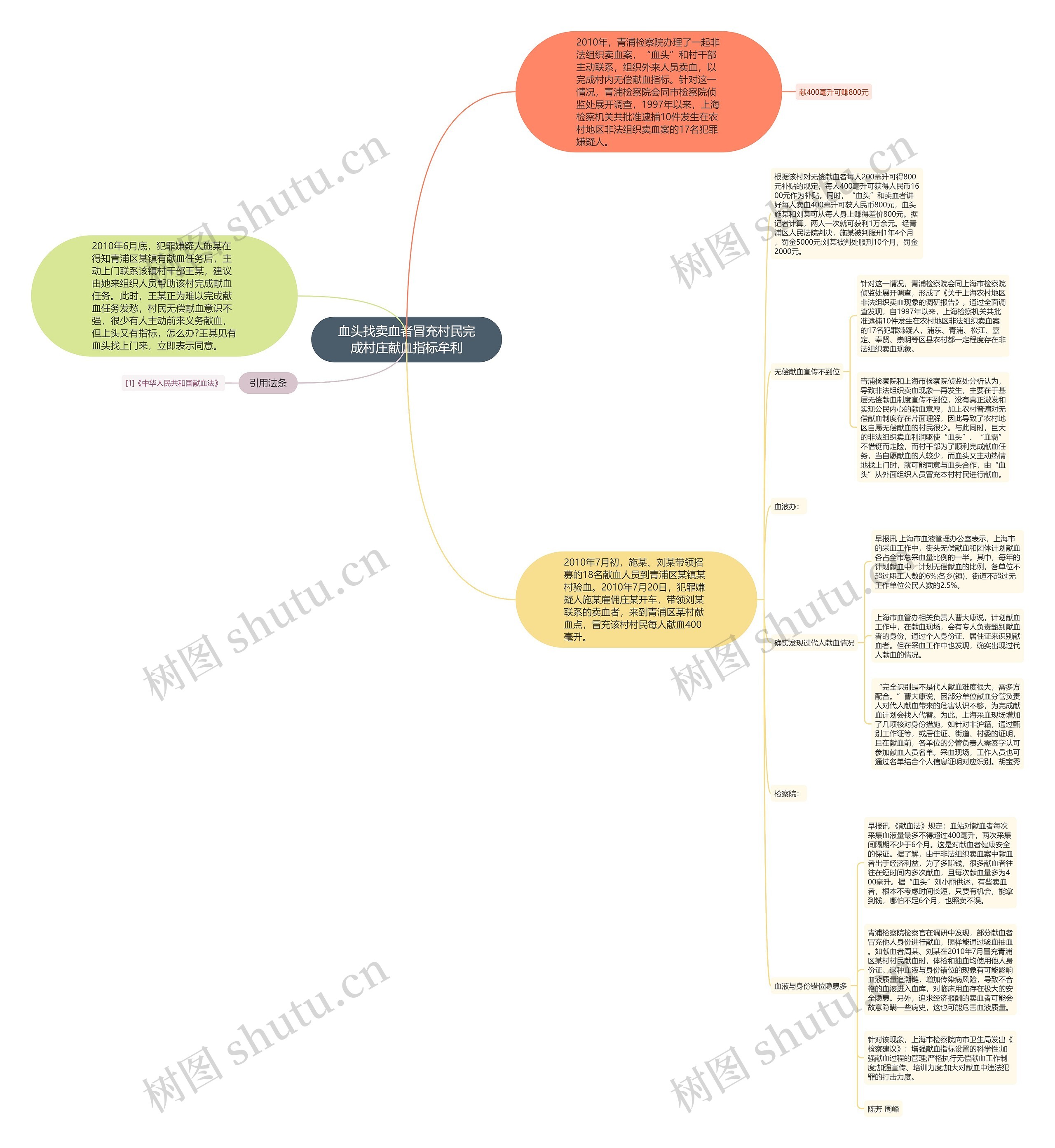 血头找卖血者冒充村民完成村庄献血指标牟利思维导图
