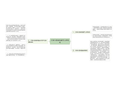 打架斗殴被拘留可以探视吗