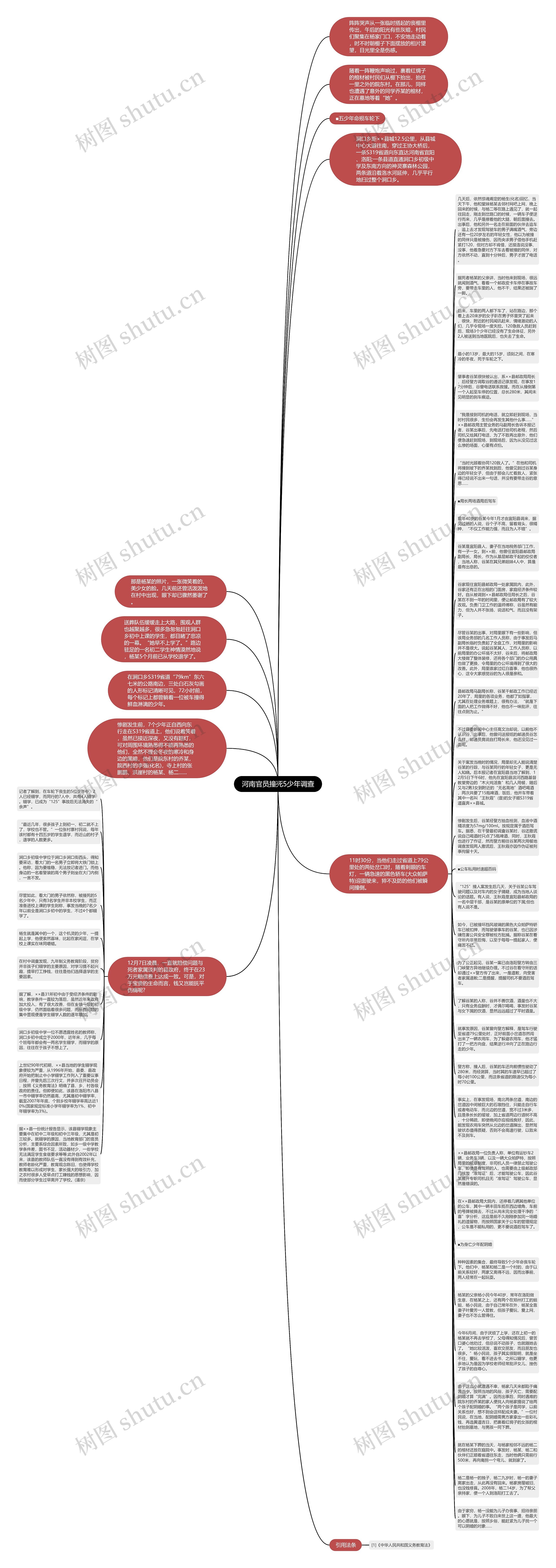 河南官员撞死5少年调查思维导图