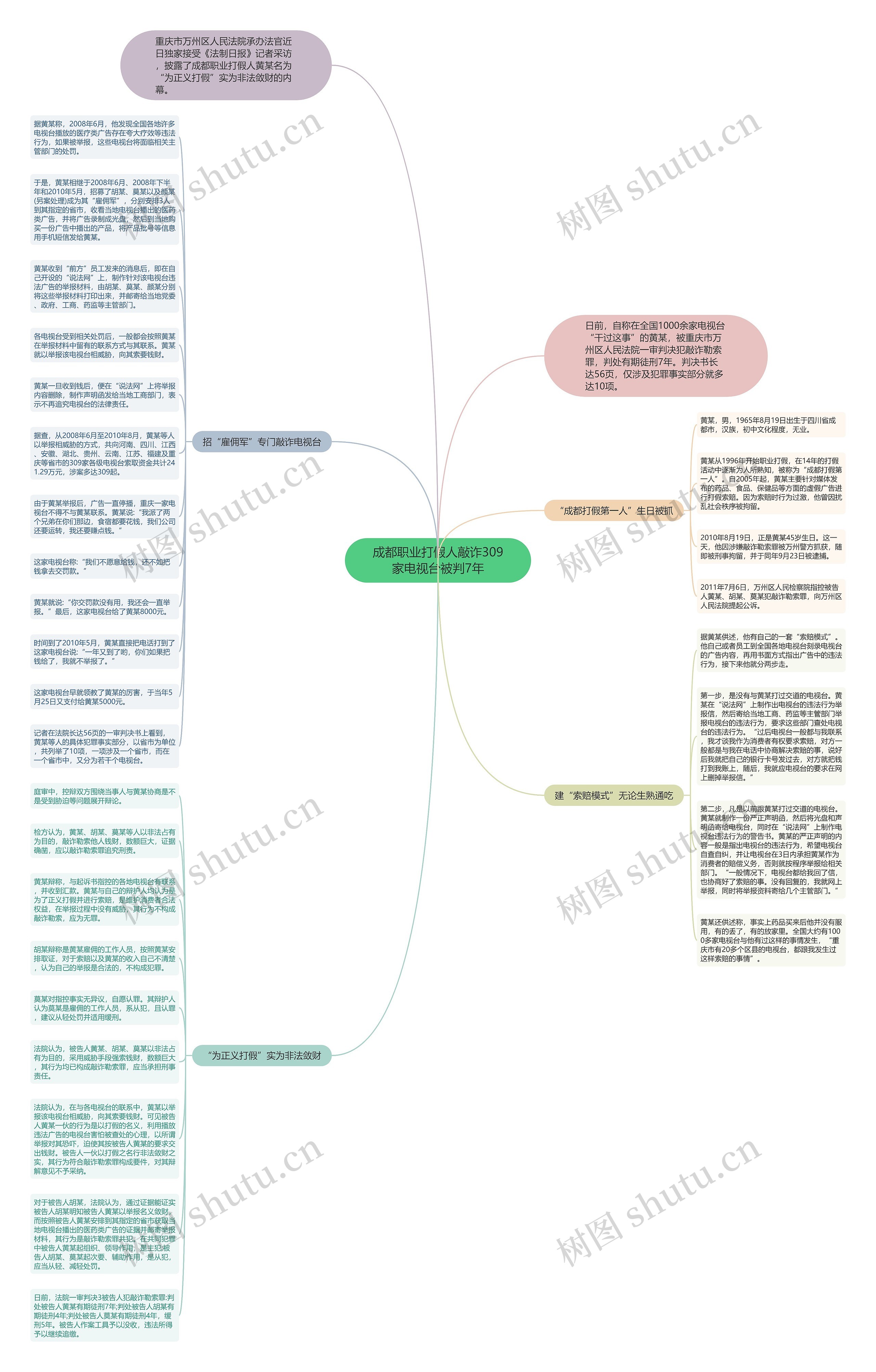 成都职业打假人敲诈309家电视台被判7年思维导图