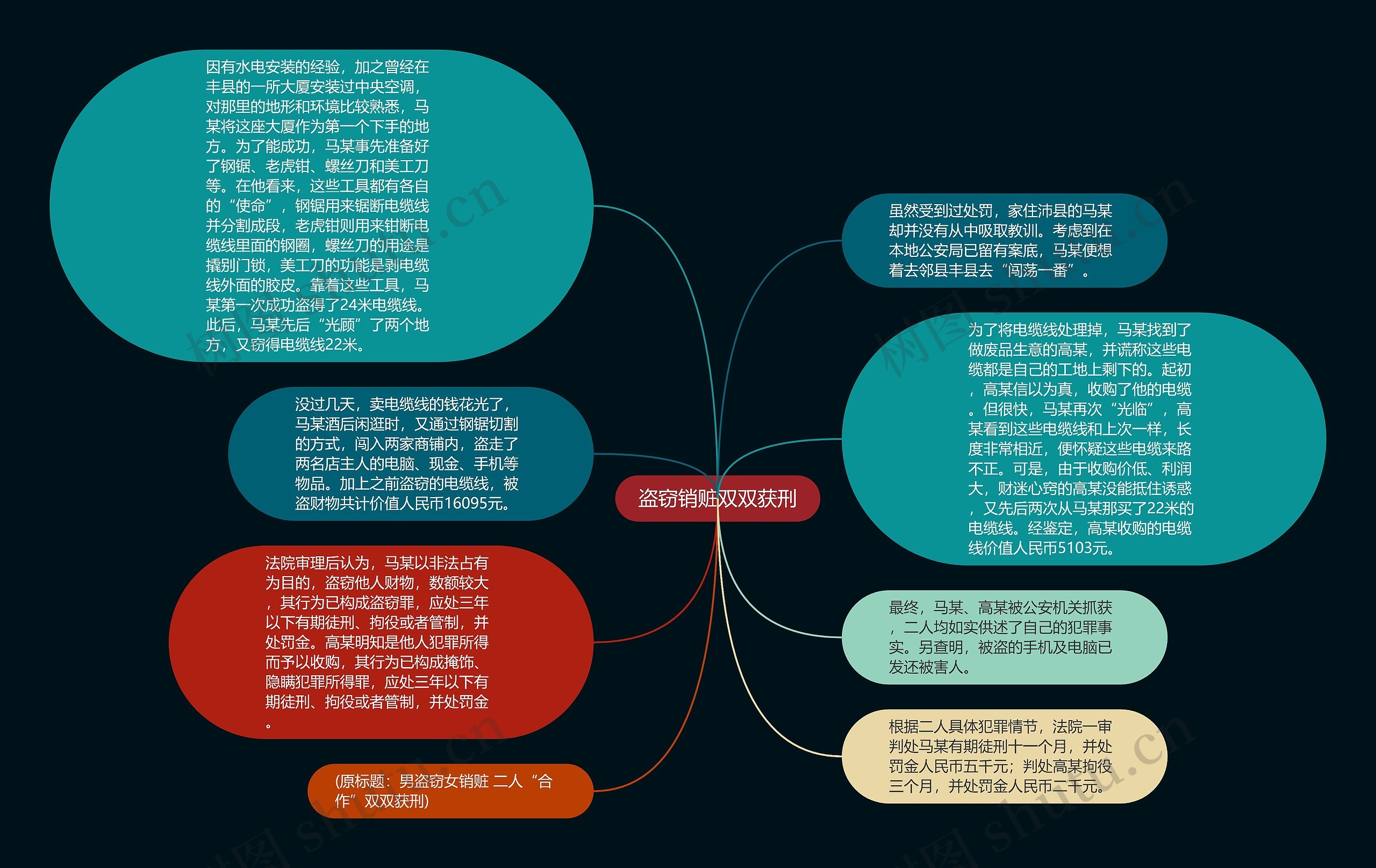 盗窃销赃双双获刑思维导图