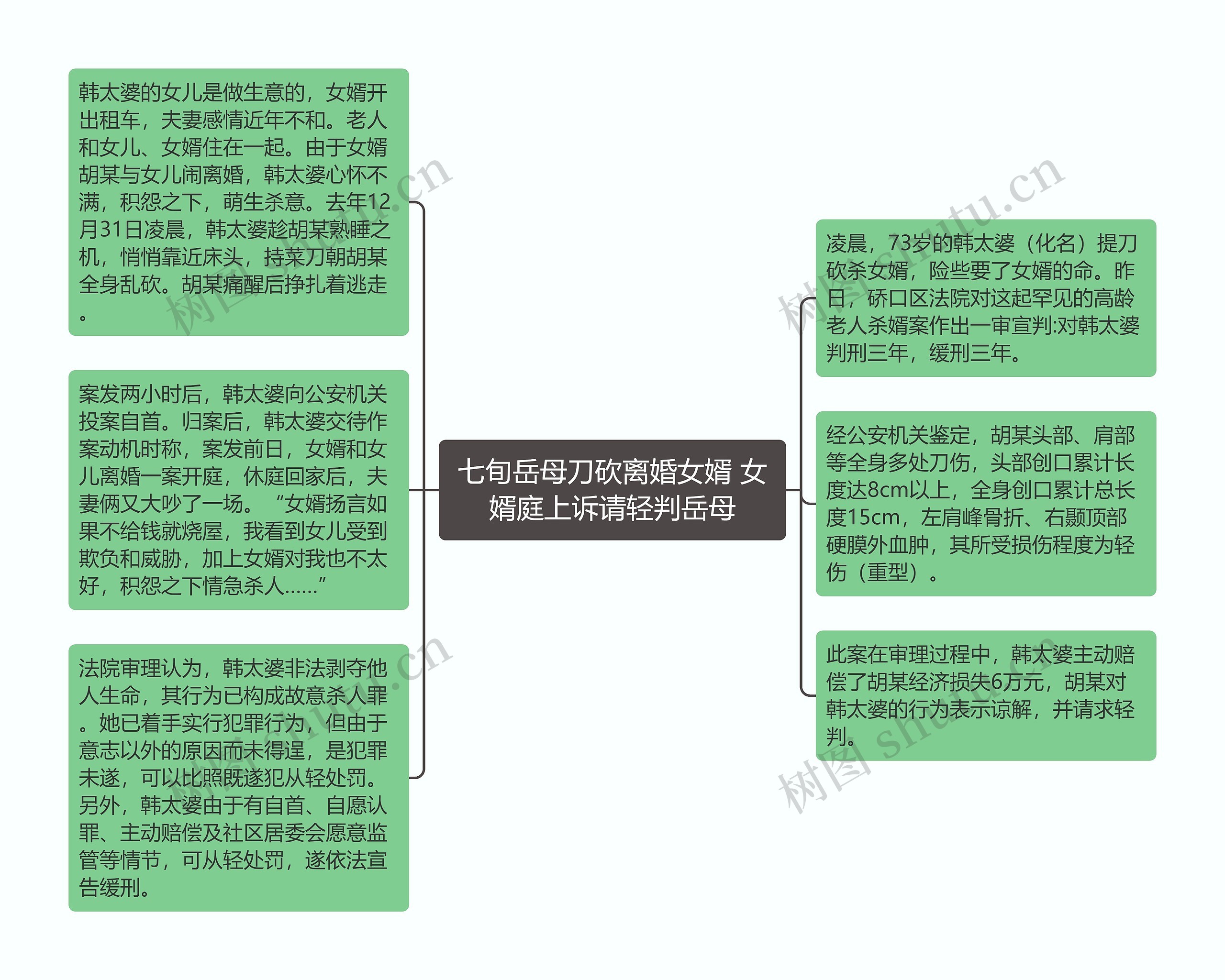 七旬岳母刀砍离婚女婿 女婿庭上诉请轻判岳母思维导图