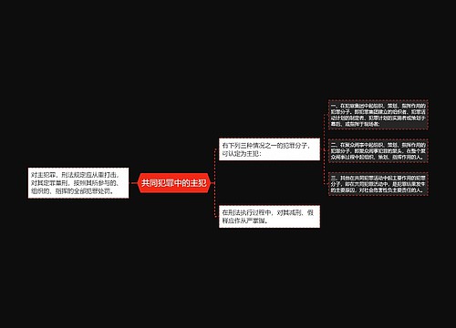 共同犯罪中的主犯