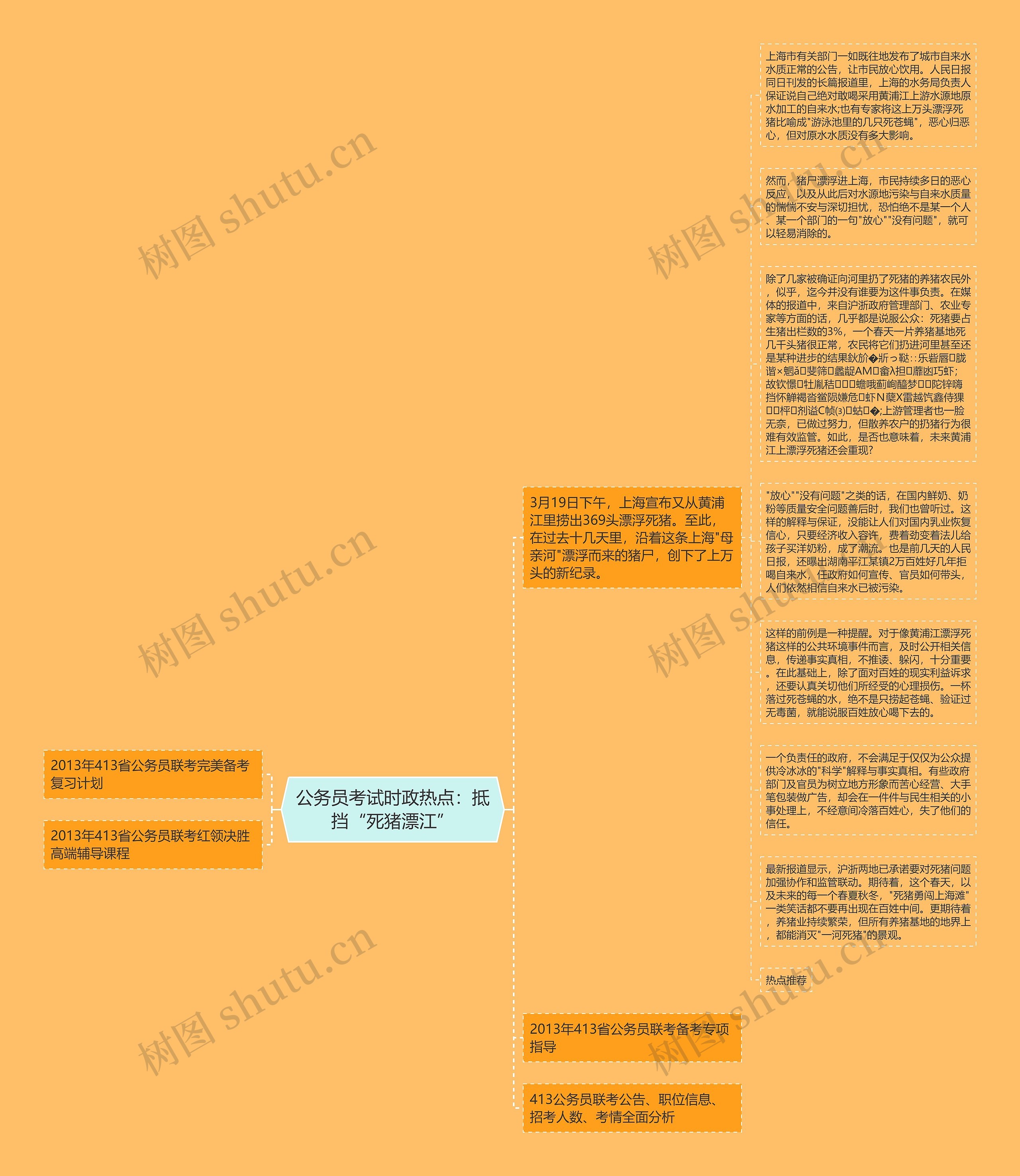 公务员考试时政热点：抵挡“死猪漂江”思维导图