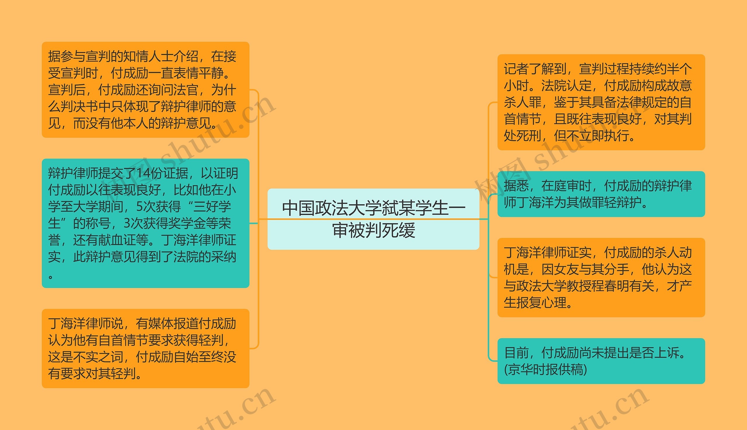 中国政法大学弑某学生一审被判死缓思维导图