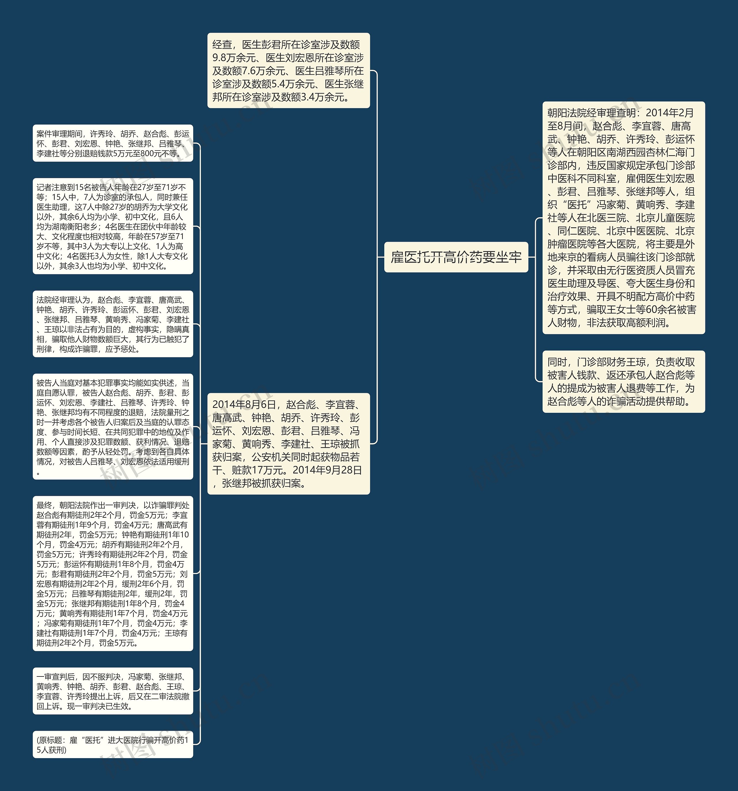 雇医托开高价药要坐牢思维导图