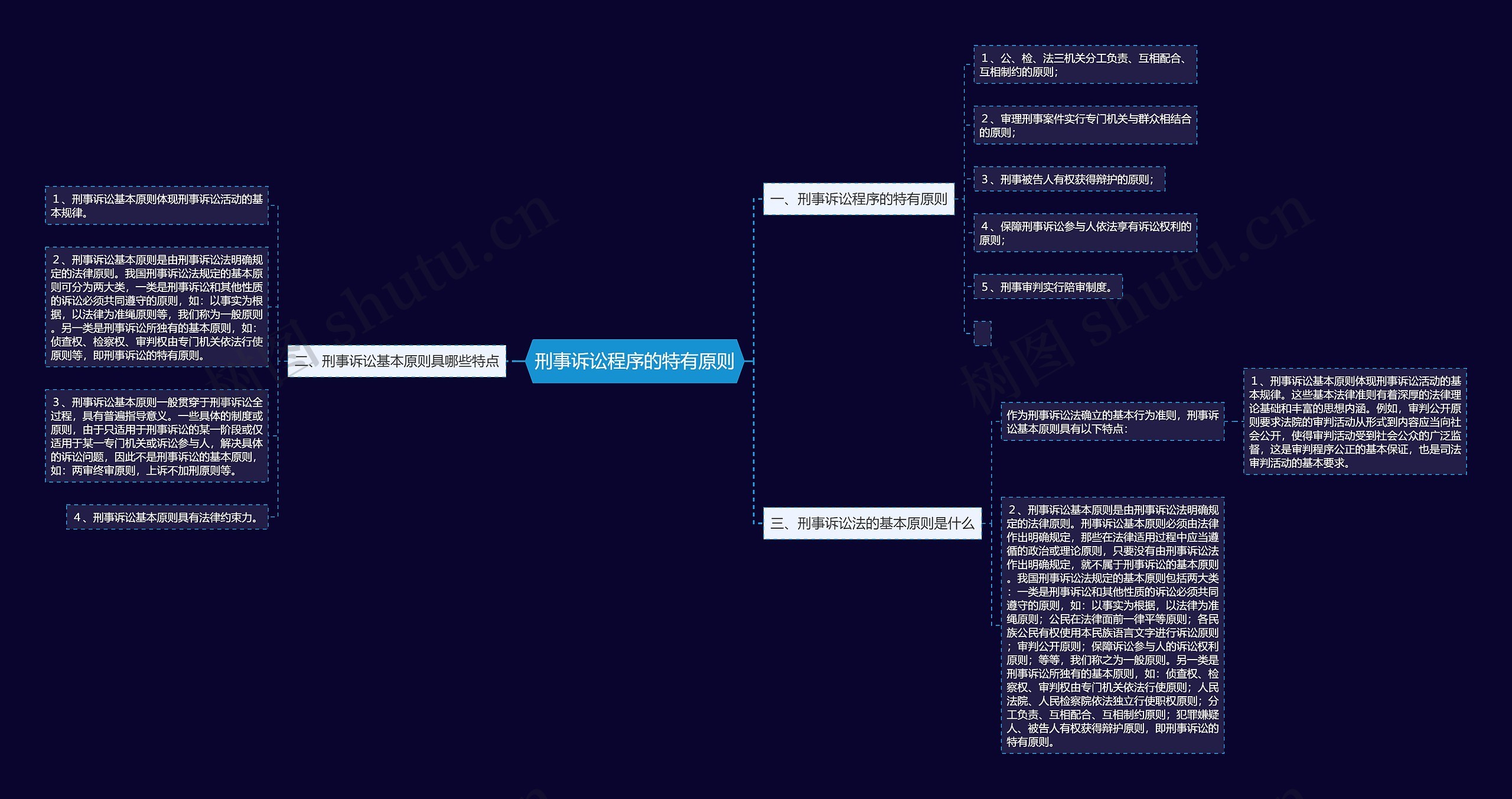 刑事诉讼程序的特有原则思维导图