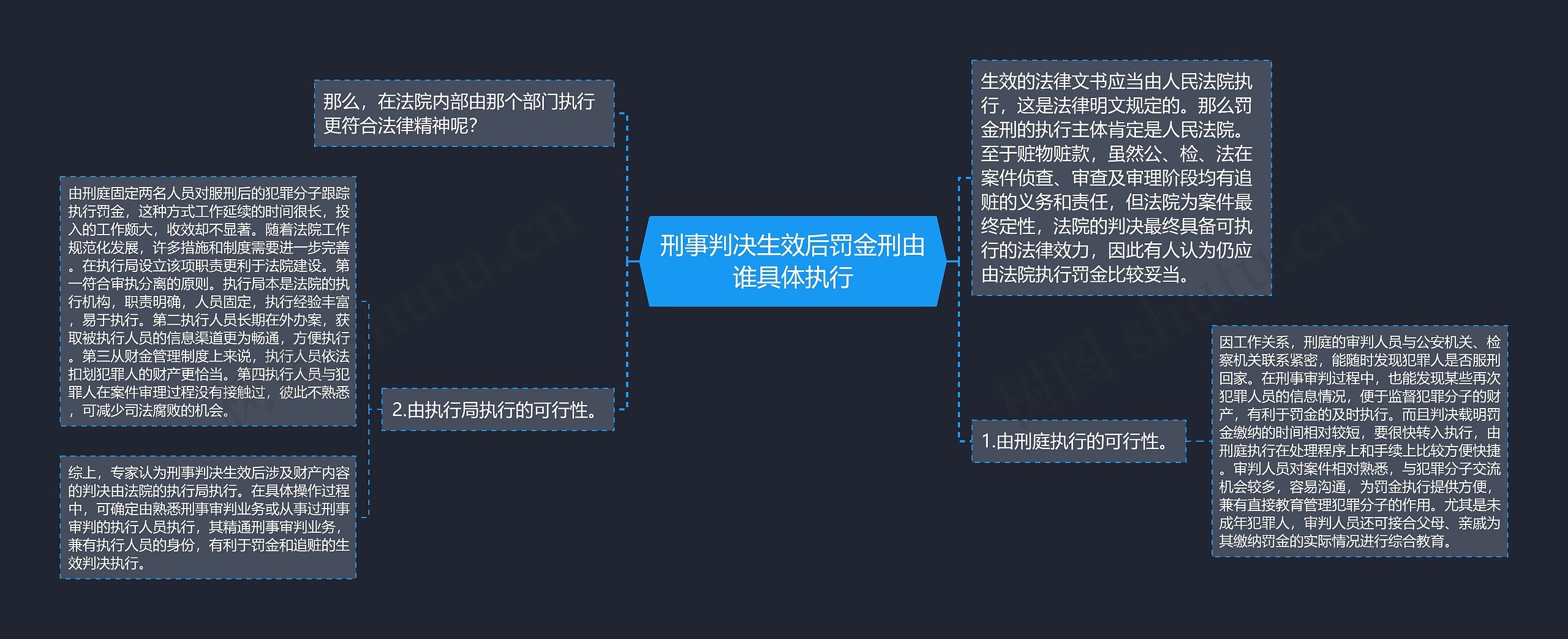 刑事判决生效后罚金刑由谁具体执行思维导图
