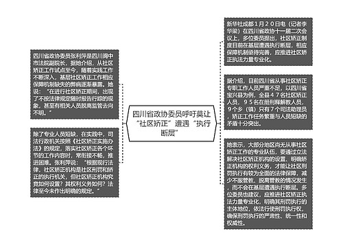 四川省政协委员呼吁莫让“社区矫正”遭遇“执行断层”