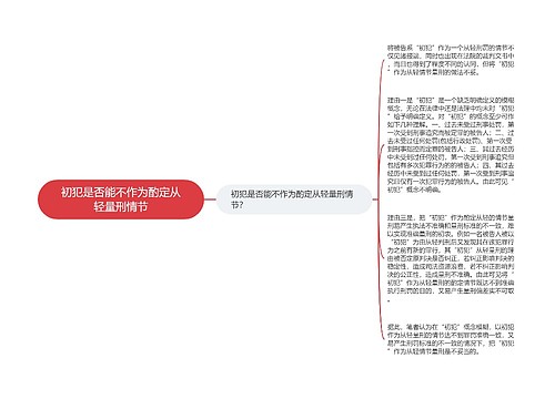 初犯是否能不作为酌定从轻量刑情节