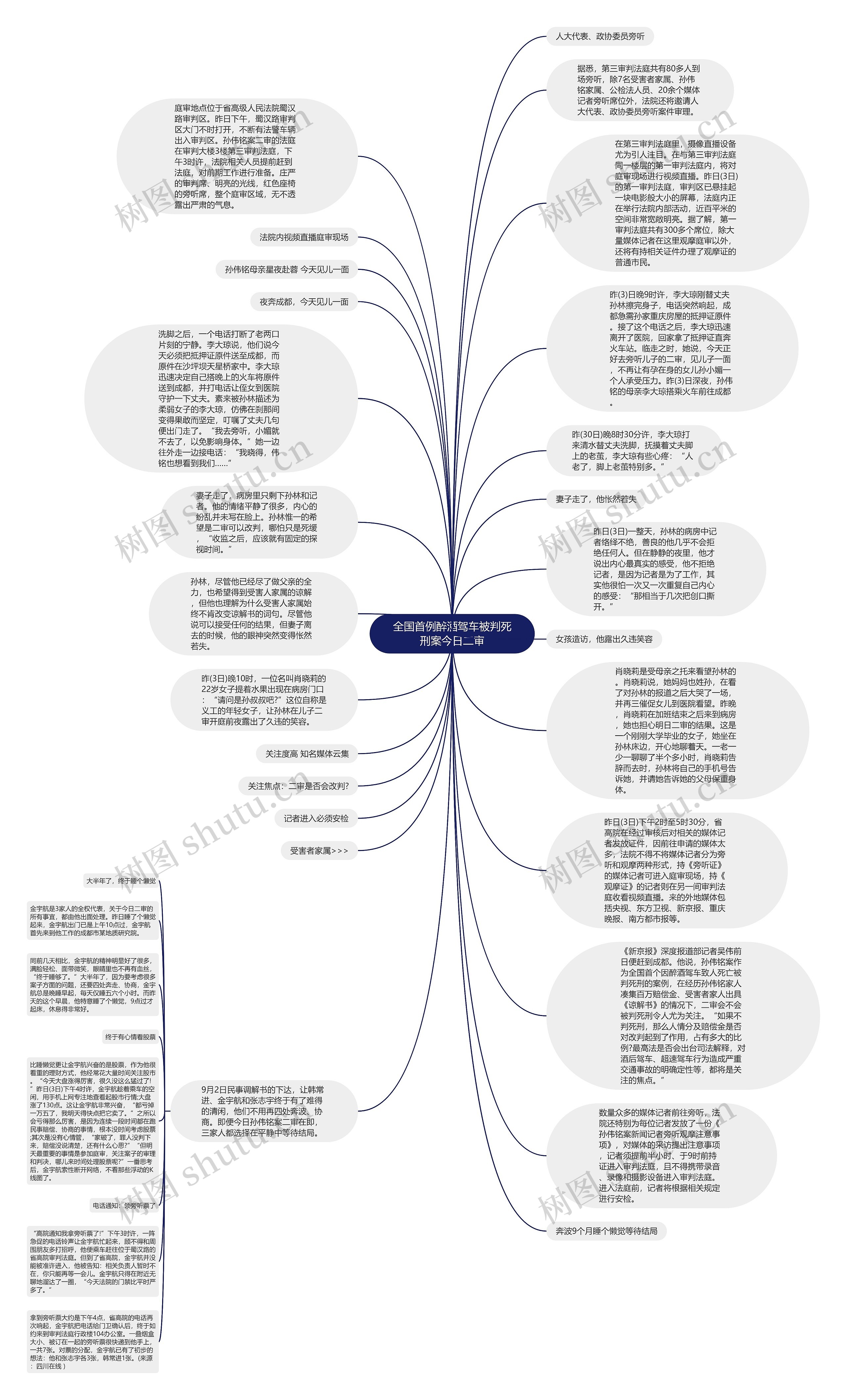 全国首例醉酒驾车被判死刑案今日二审思维导图
