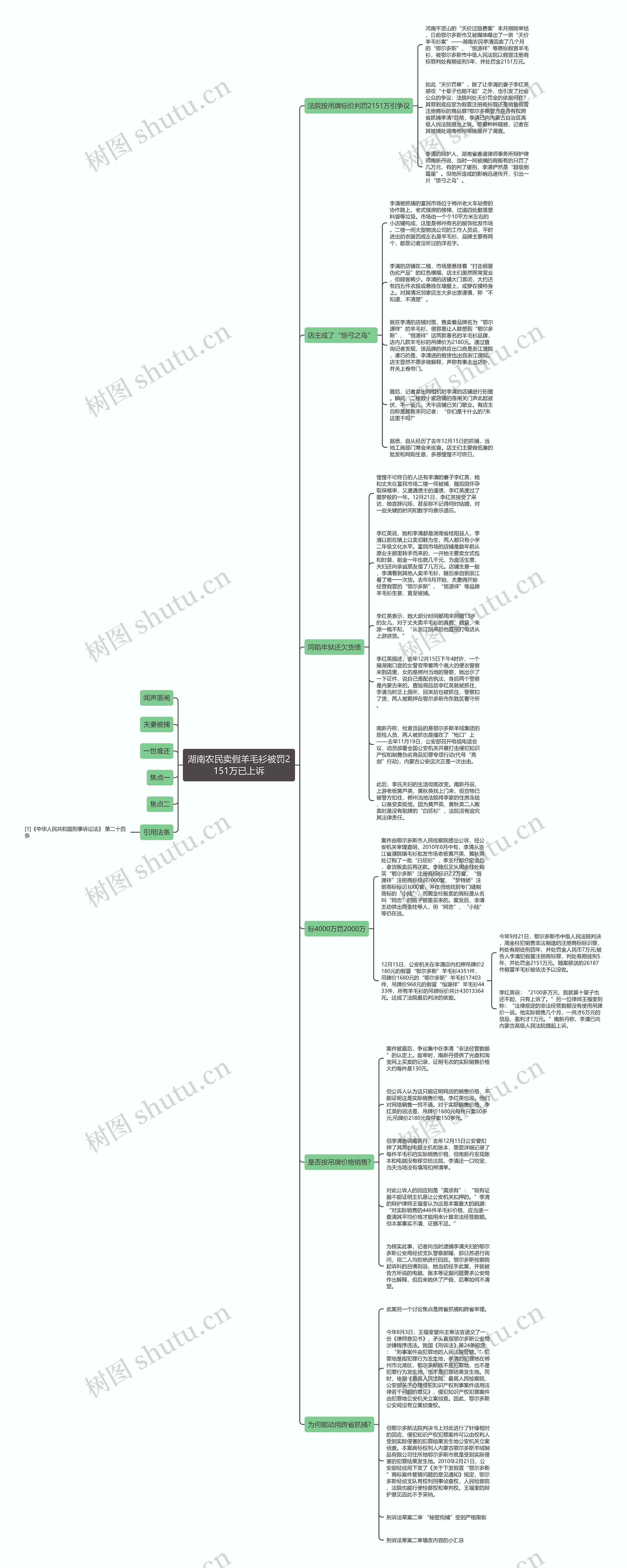 湖南农民卖假羊毛衫被罚2151万已上诉思维导图