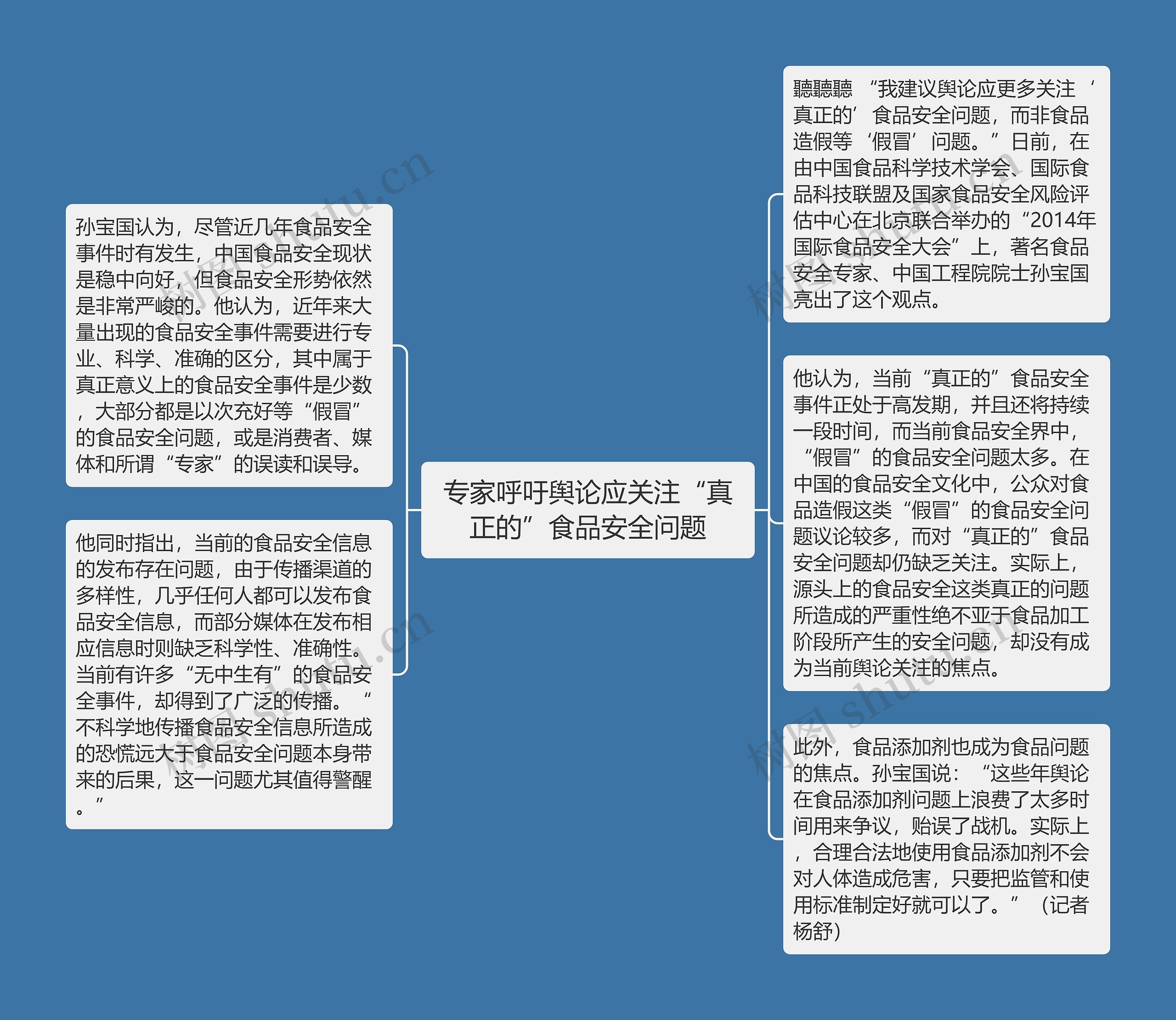 专家呼吁舆论应关注“真正的”食品安全问题思维导图