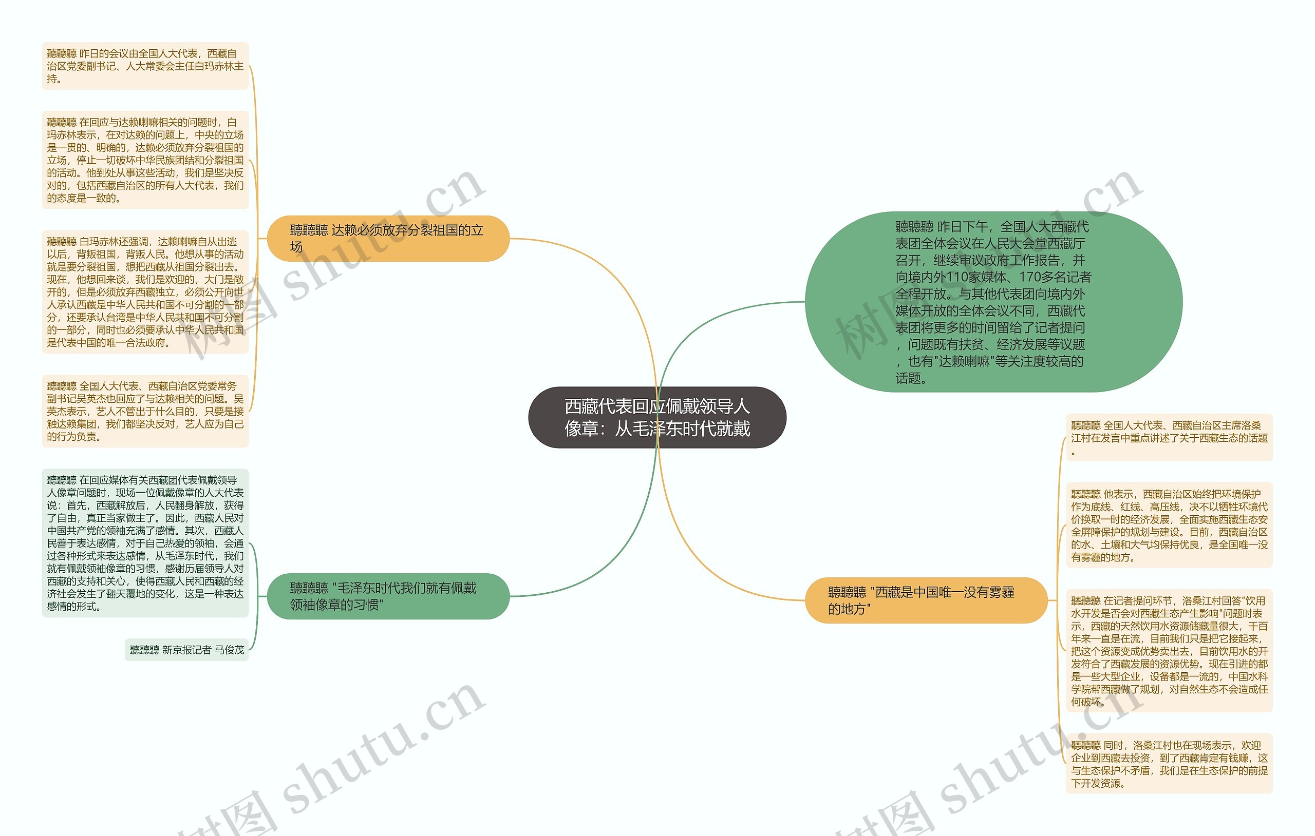 西藏代表回应佩戴领导人像章：从毛泽东时代就戴思维导图