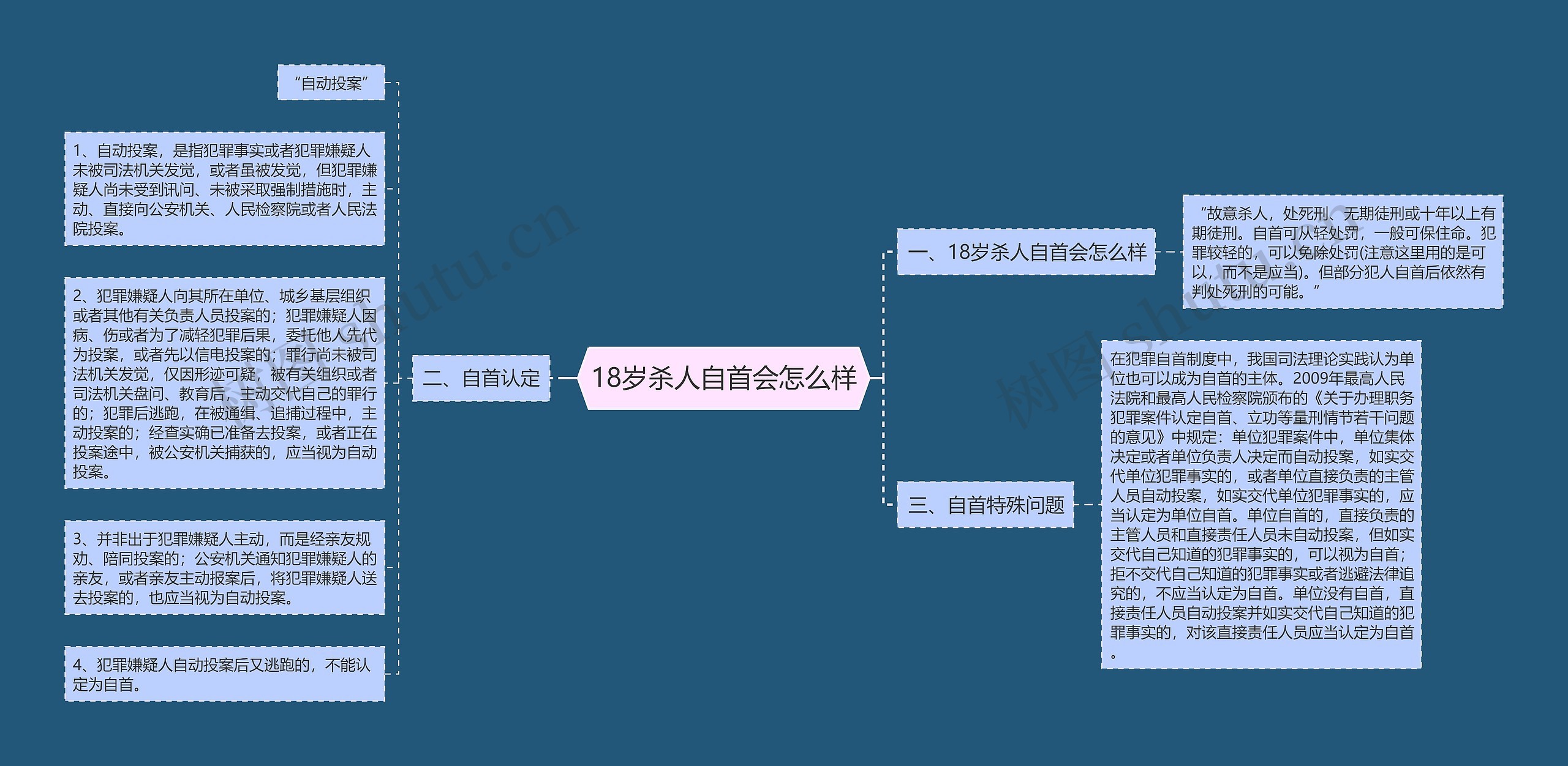 18岁杀人自首会怎么样思维导图