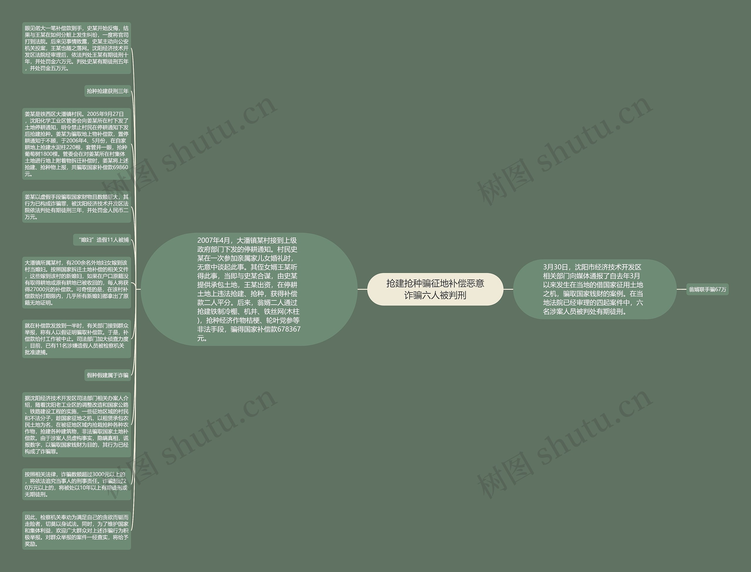 抢建抢种骗征地补偿恶意诈骗六人被判刑思维导图