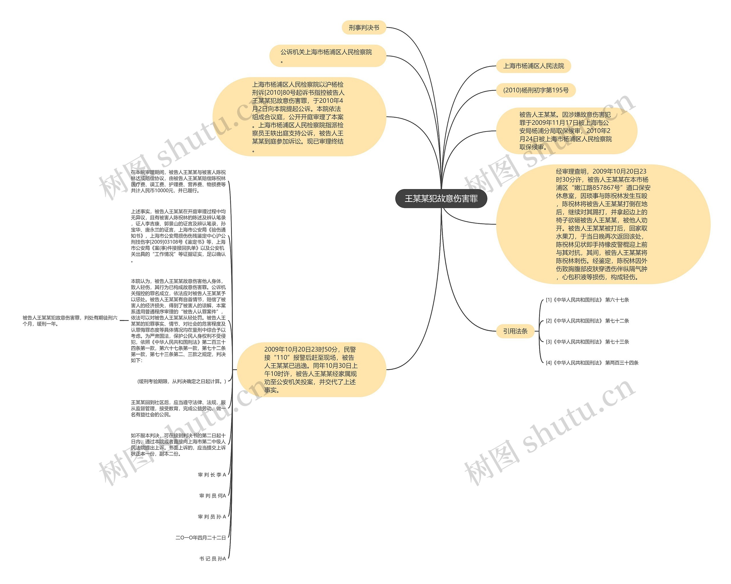 王某某犯故意伤害罪思维导图