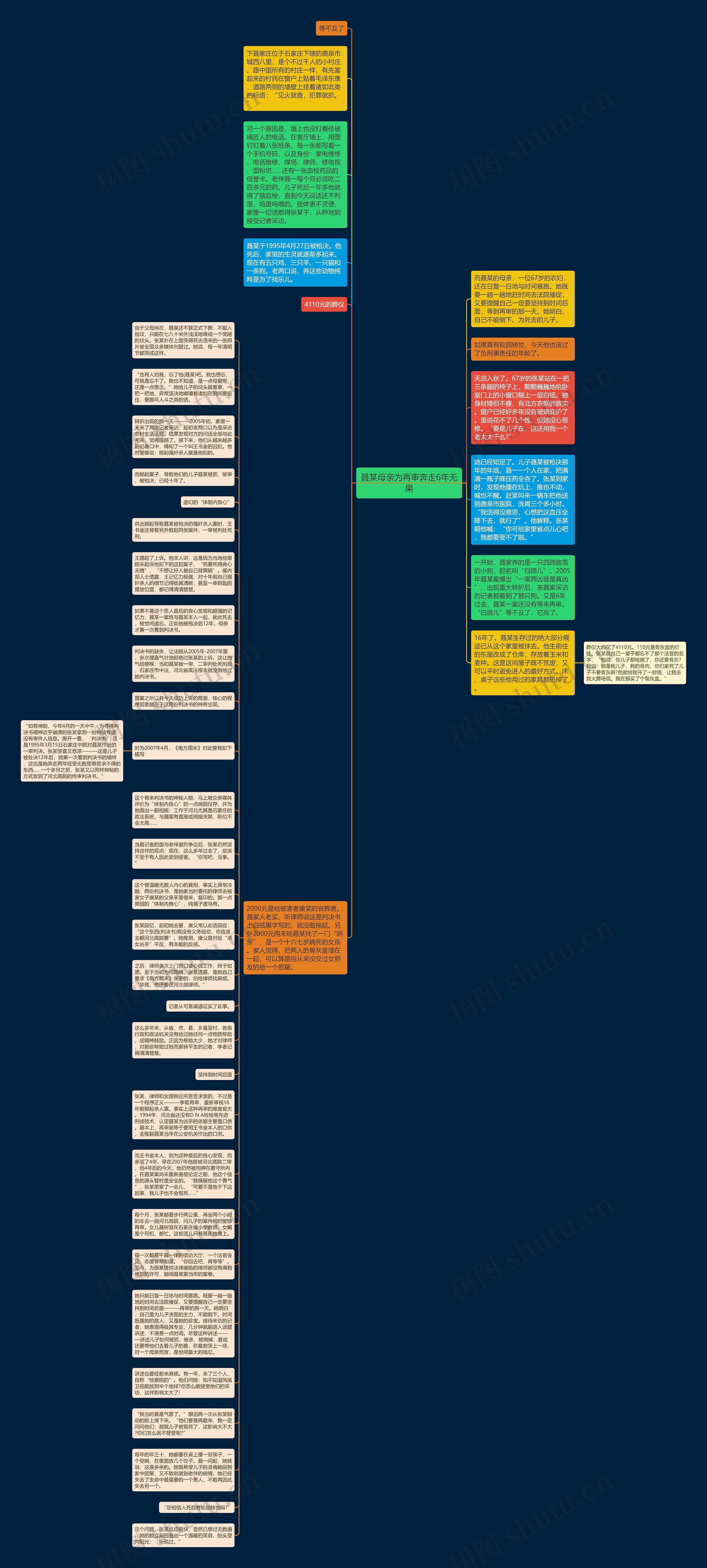 聂某母亲为再审奔走6年无果思维导图