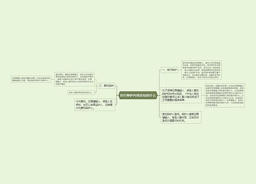 自行辩护内容应包括什么