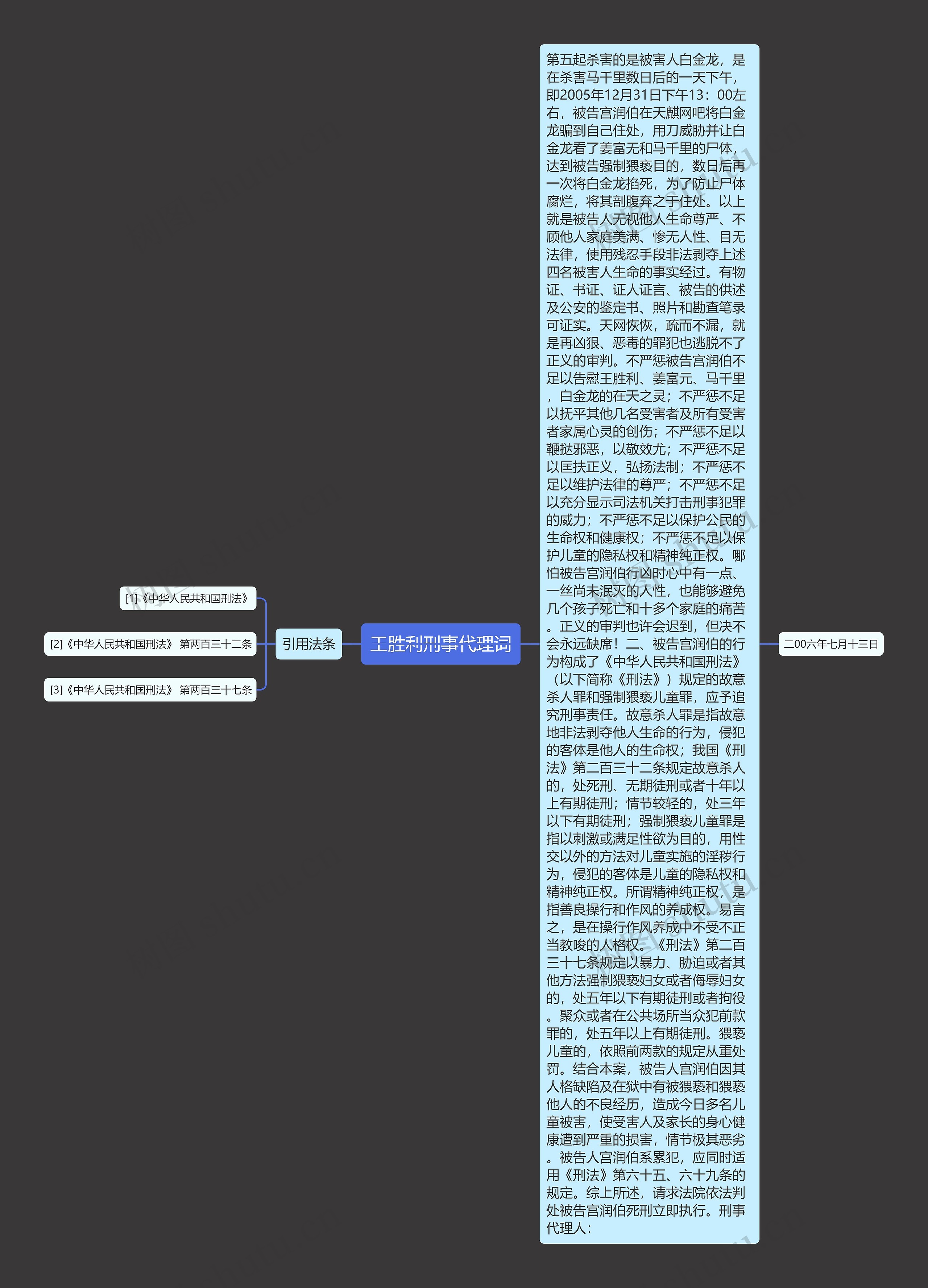 王胜利刑事代理词思维导图