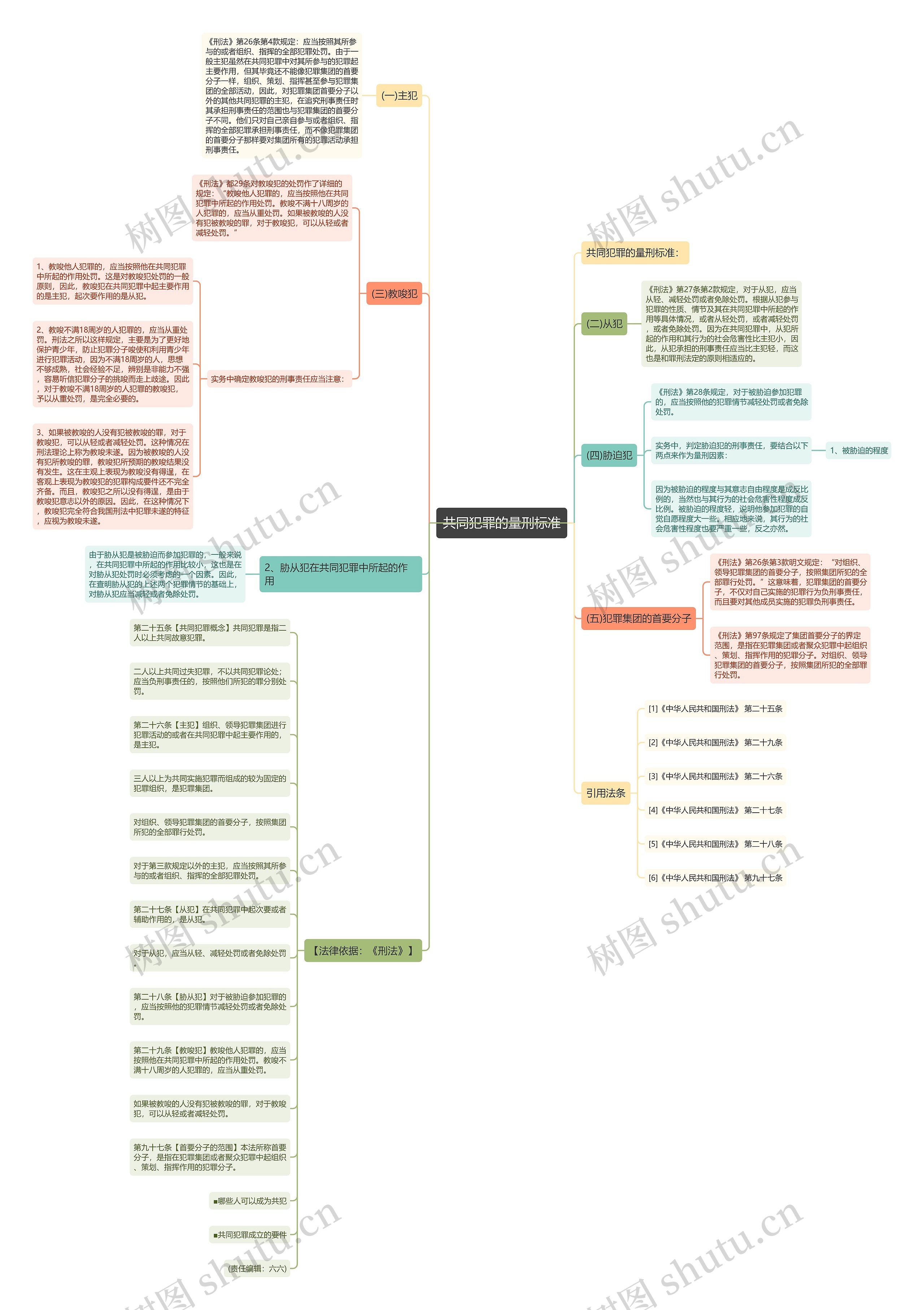 共同犯罪的量刑标准思维导图
