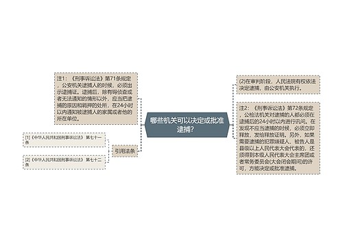 哪些机关可以决定或批准逮捕？