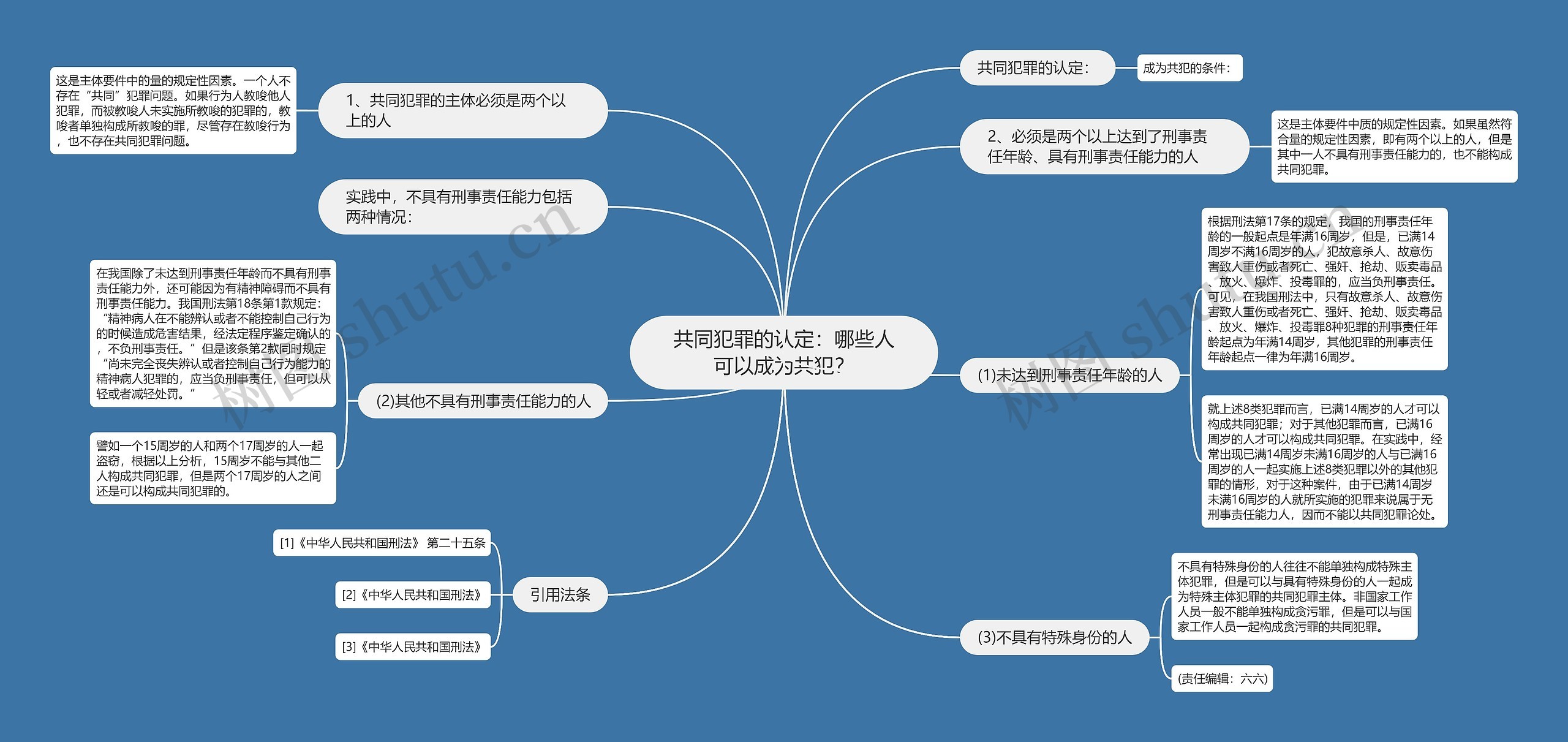 共同犯罪的认定：哪些人可以成为共犯？思维导图