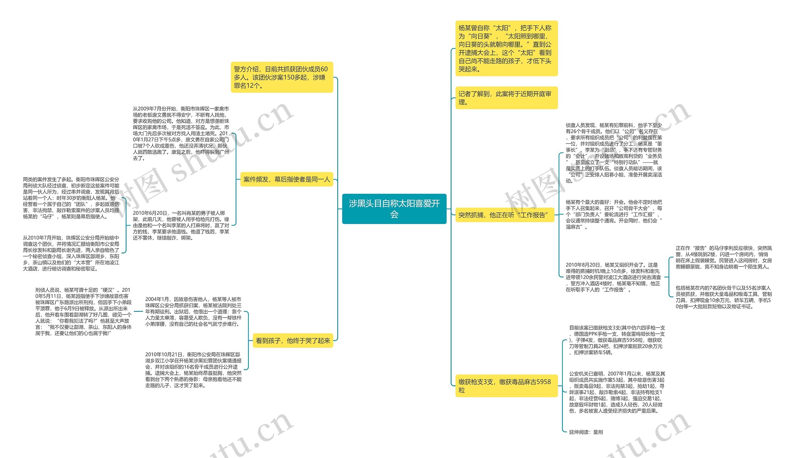 涉黑头目自称太阳喜爱开会思维导图