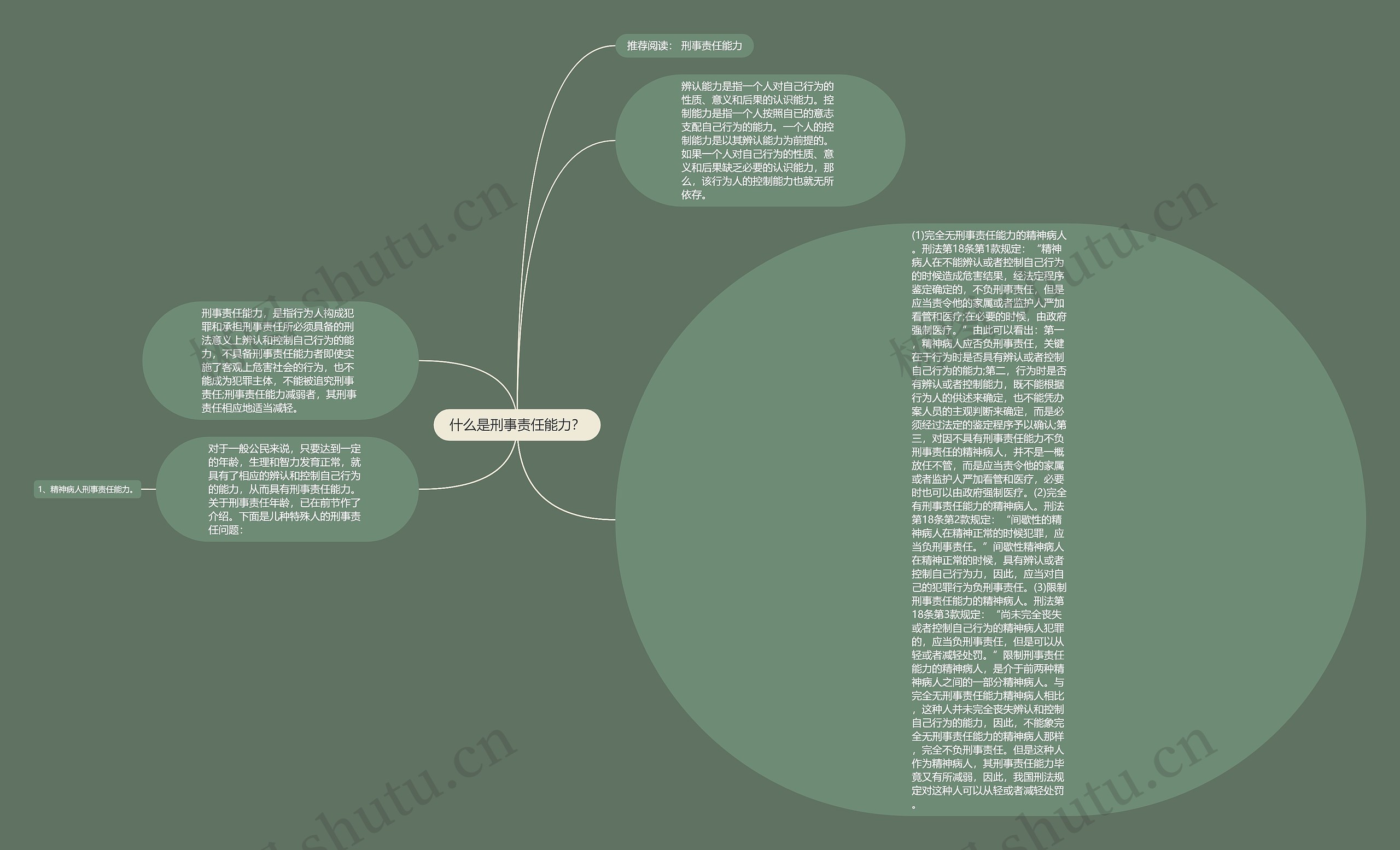 什么是刑事责任能力？思维导图