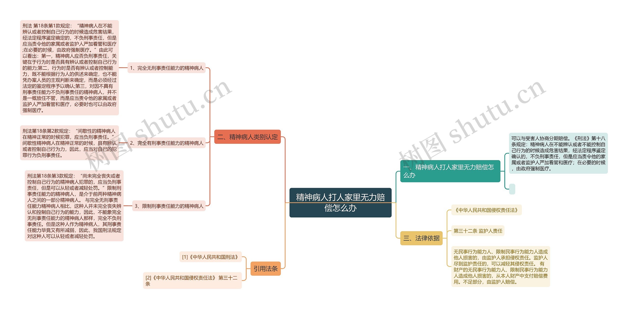 精神病人打人家里无力赔偿怎么办思维导图