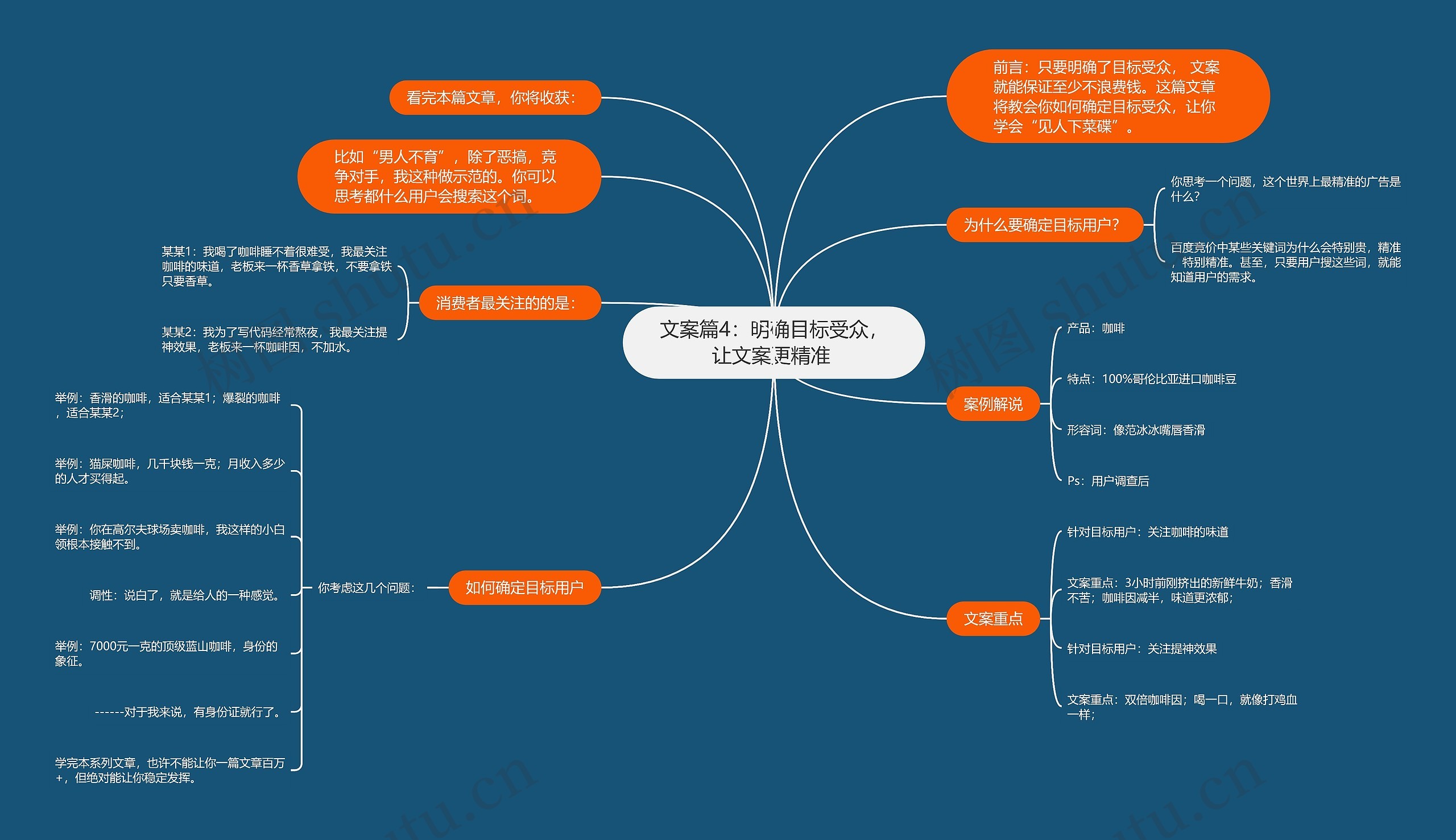 文案篇4：明确目标受众，让文案更精准 思维导图