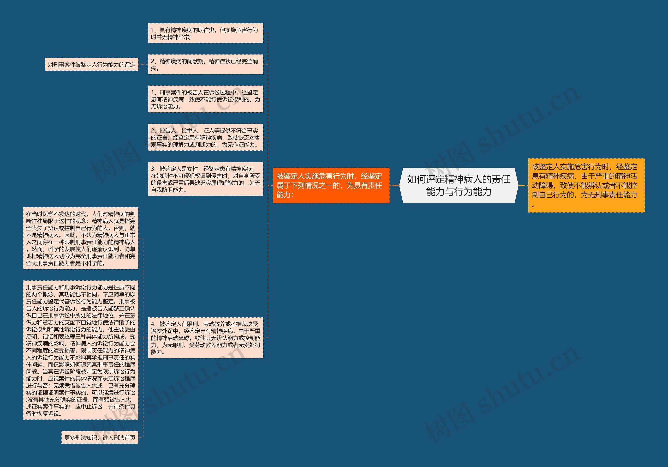 如何评定精神病人的责任能力与行为能力思维导图