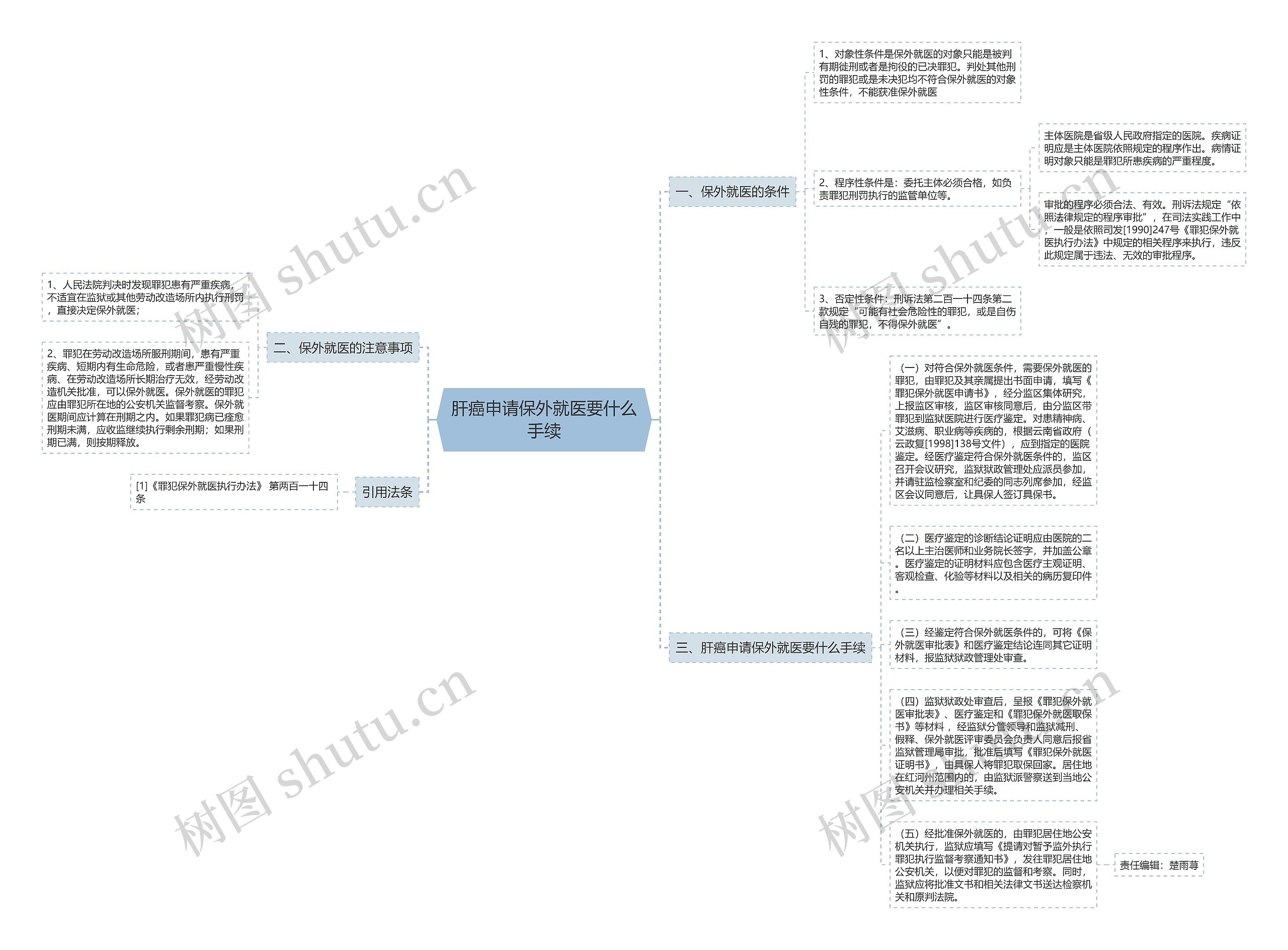 肝癌申请保外就医要什么手续思维导图