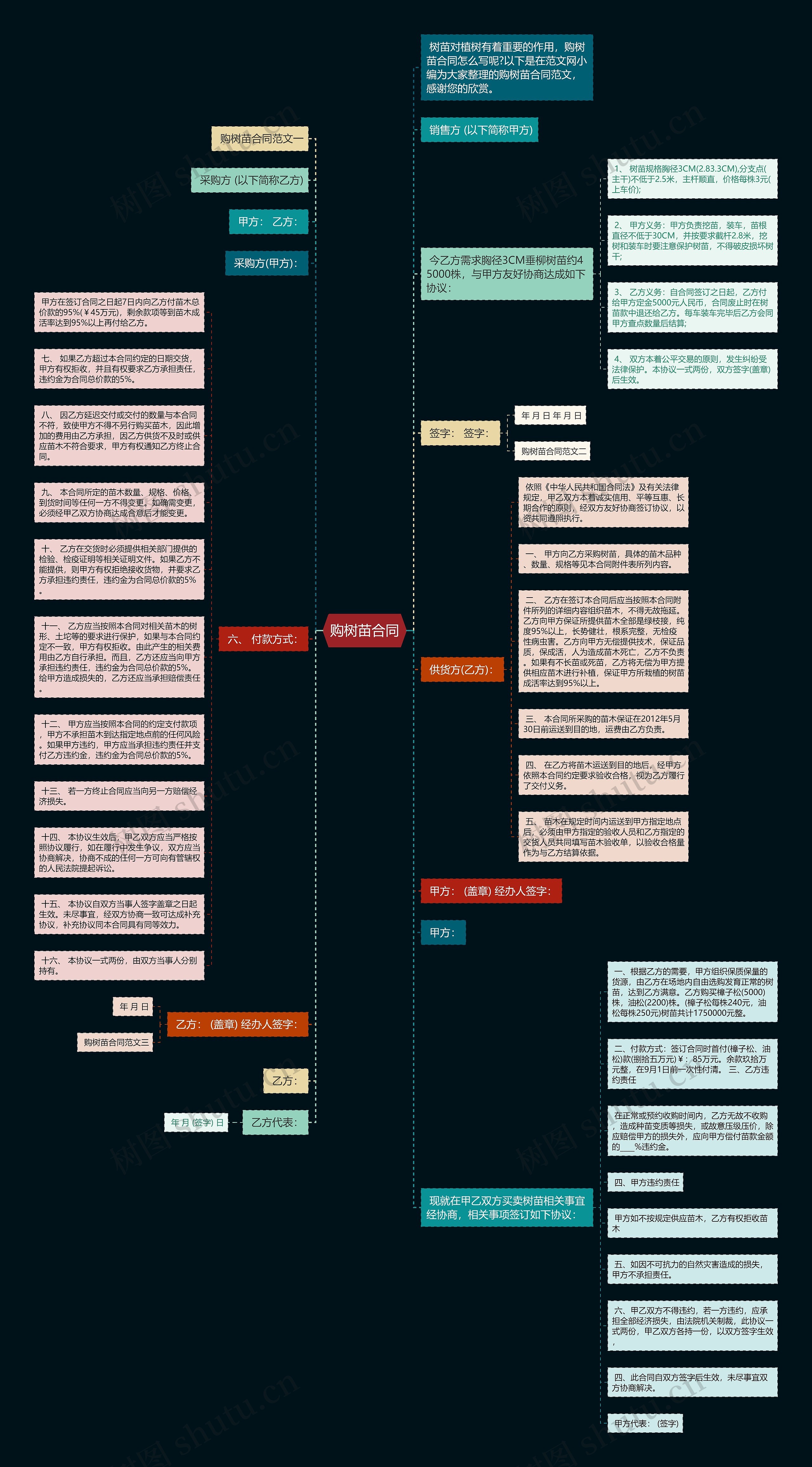 购树苗合同思维导图