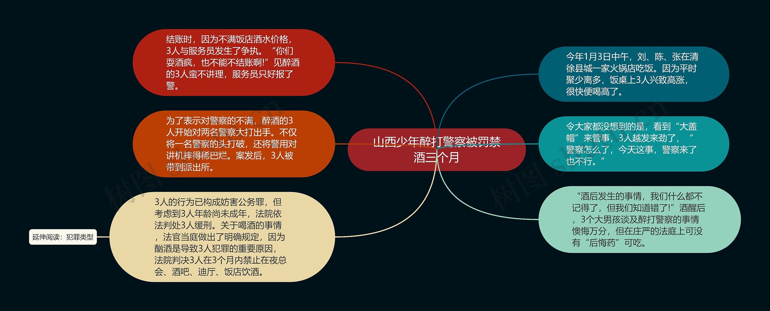 山西少年醉打警察被罚禁酒三个月思维导图