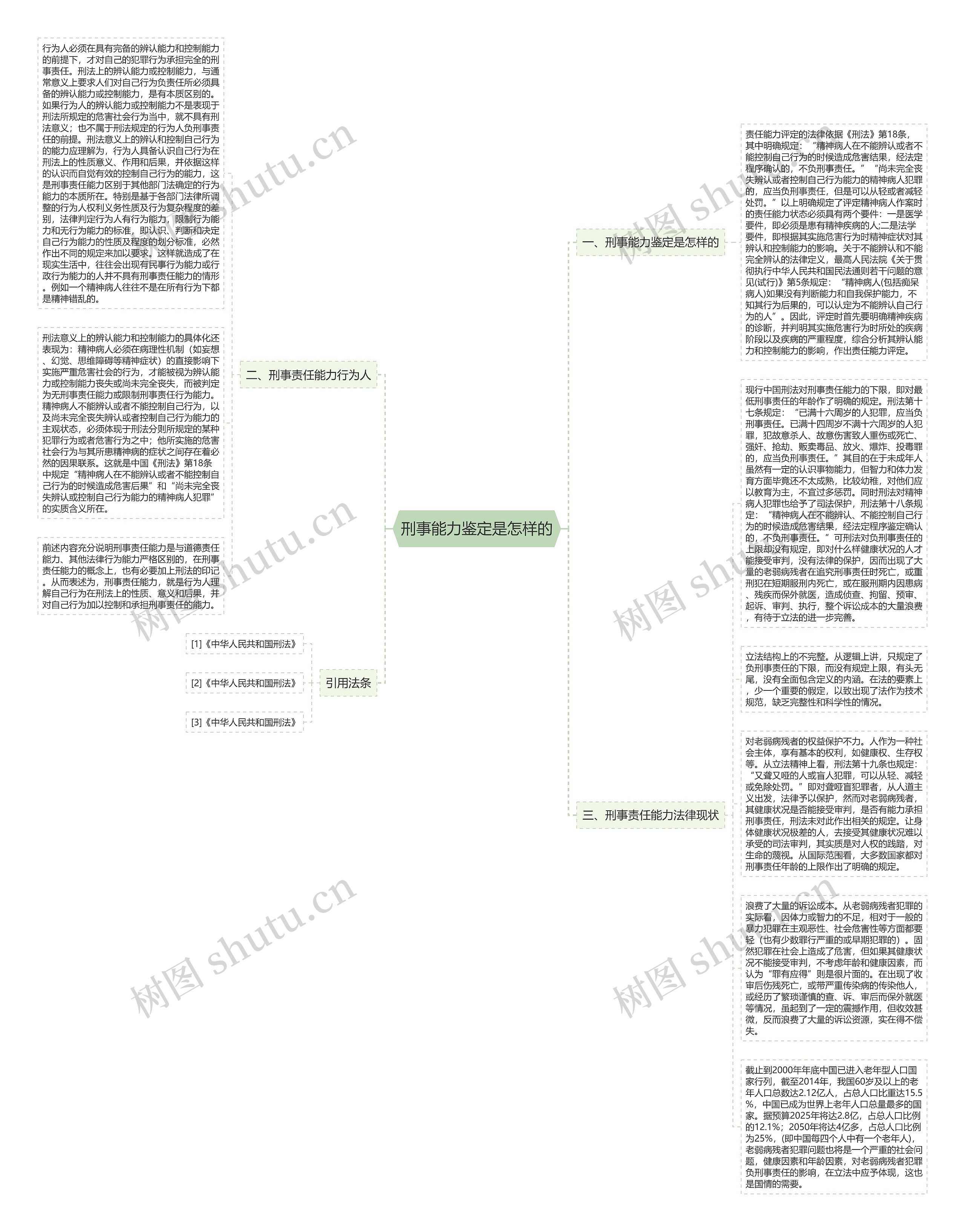 刑事能力鉴定是怎样的思维导图