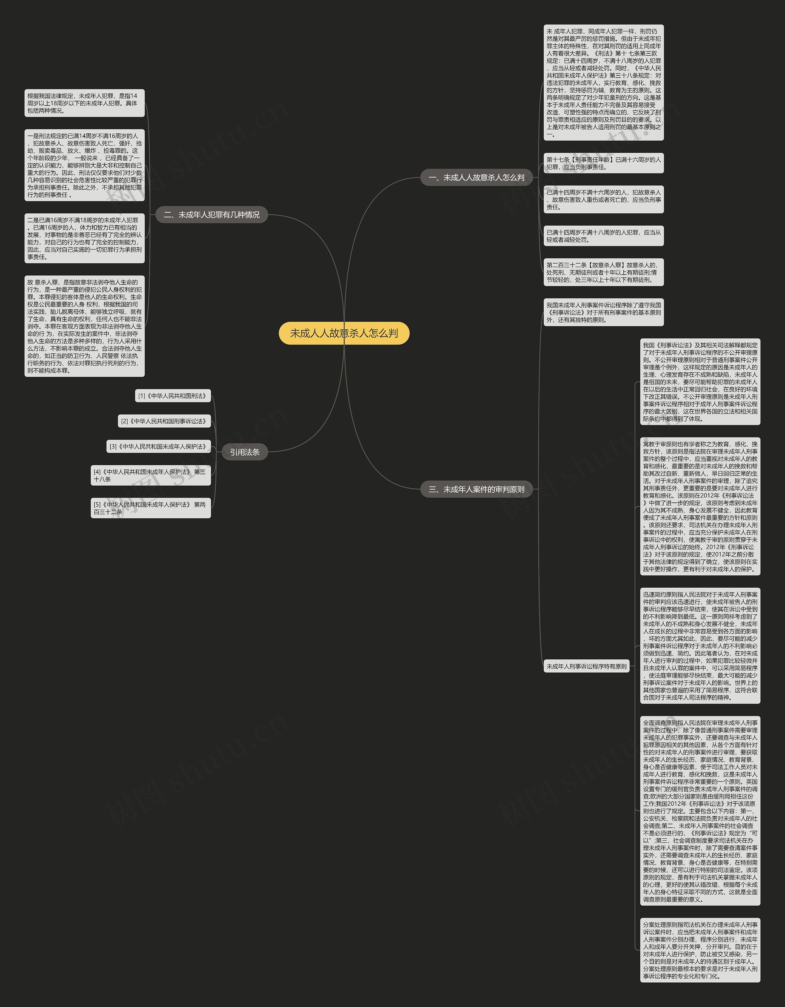 未成人人故意杀人怎么判思维导图
