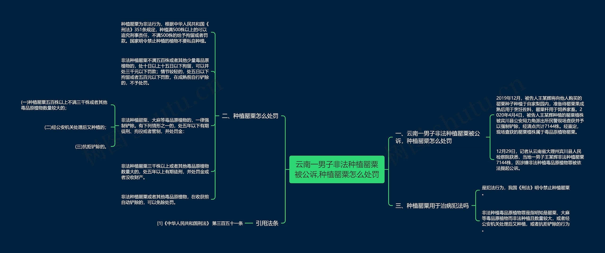 云南一男子非法种植罂粟被公诉,种植罂粟怎么处罚思维导图