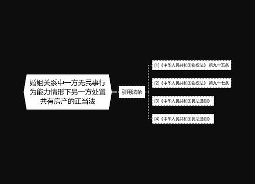 婚姻关系中一方无民事行为能力情形下另一方处置共有房产的正当法